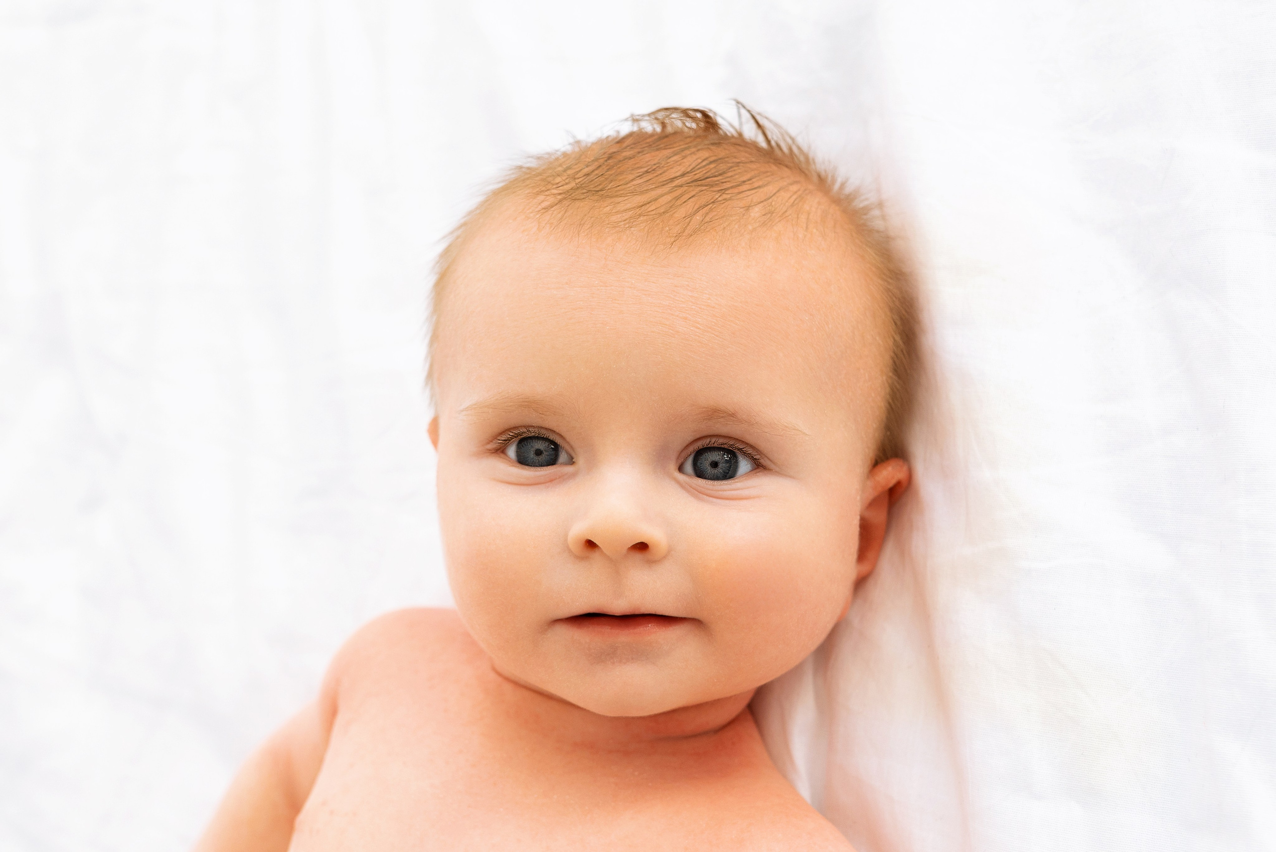 Эллай (6 месяцев)