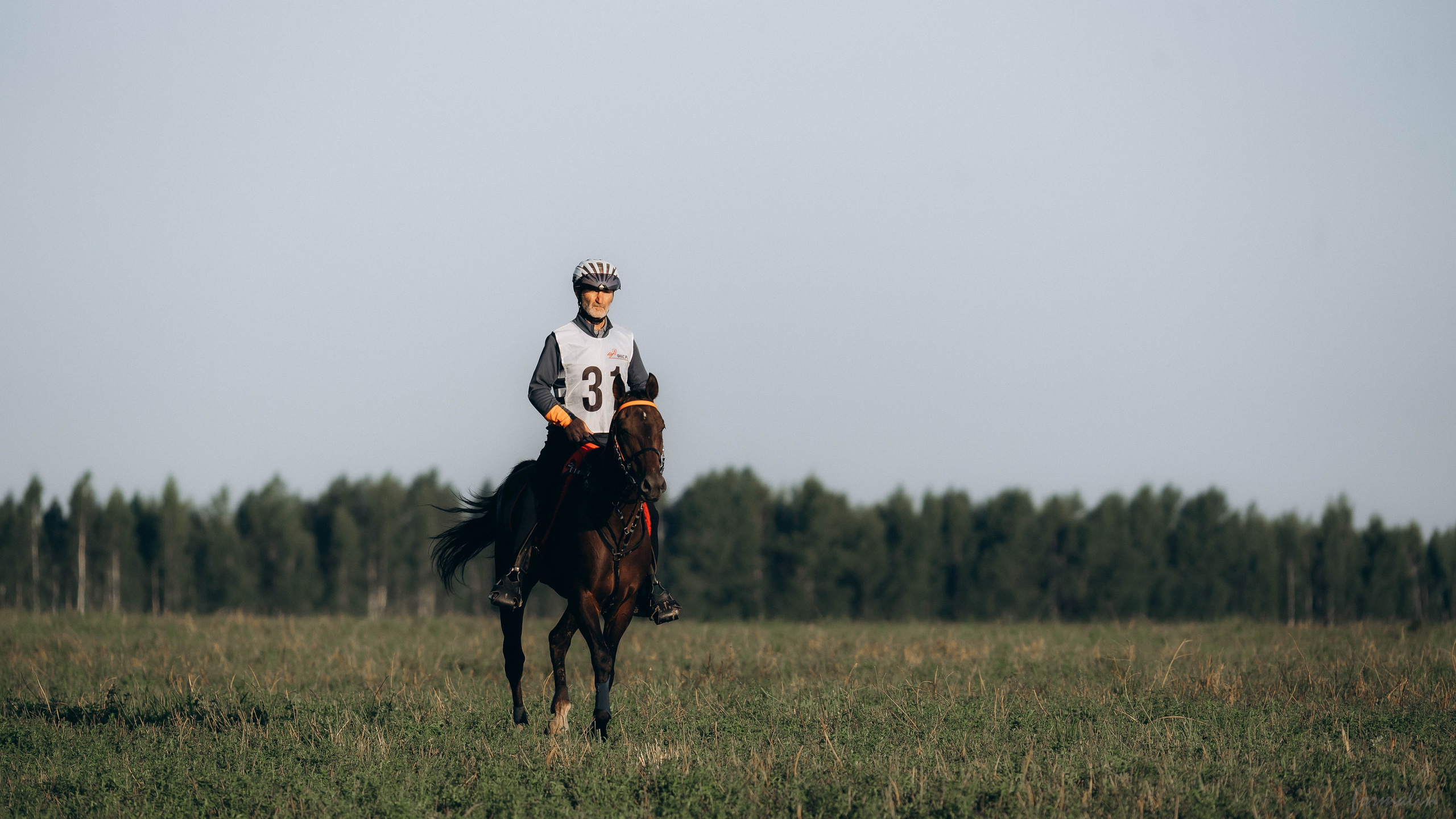 День Коня. Алиса Никитцова | Фотограф в Казани