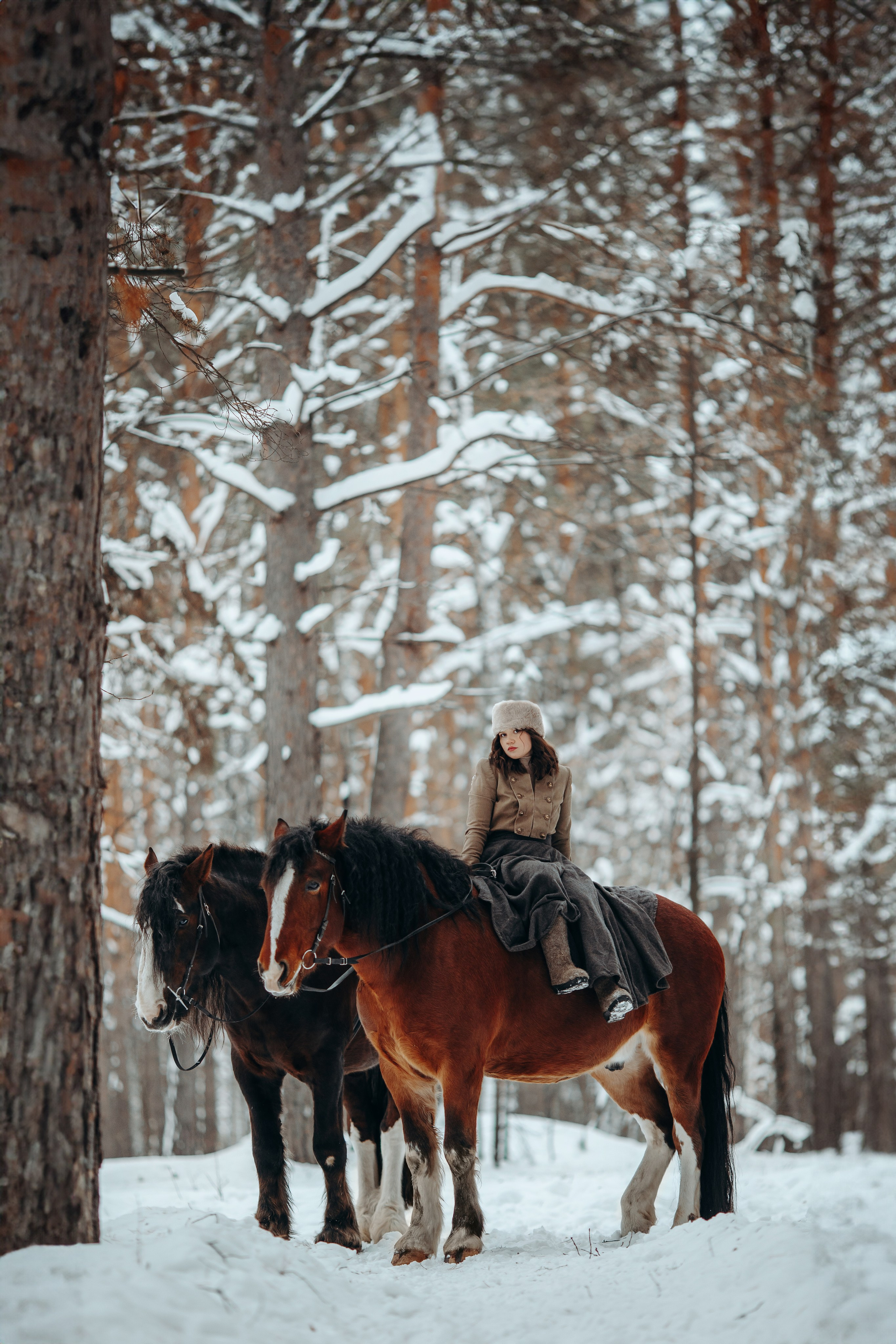 Аня и два тяжика (Малыш и Спартак). Анна Молчанова конный фотограф в Тюмени | фотосессии с лошадьми Тюмень