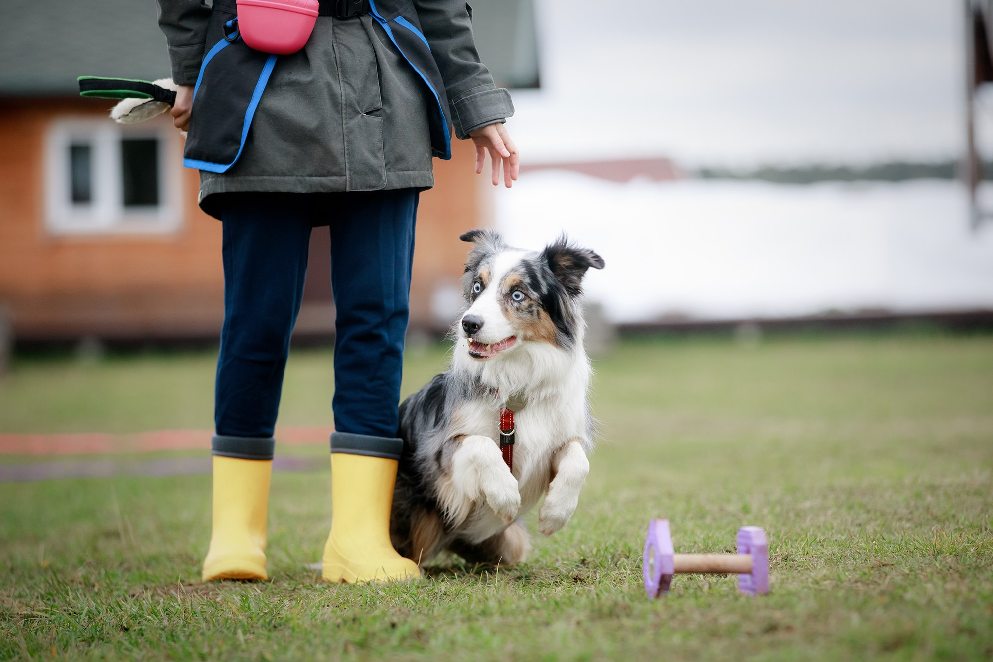 Лагерь по ОБД с Инной Баженовой. Фотограф-анималист Mary Mart — Москва, Питер