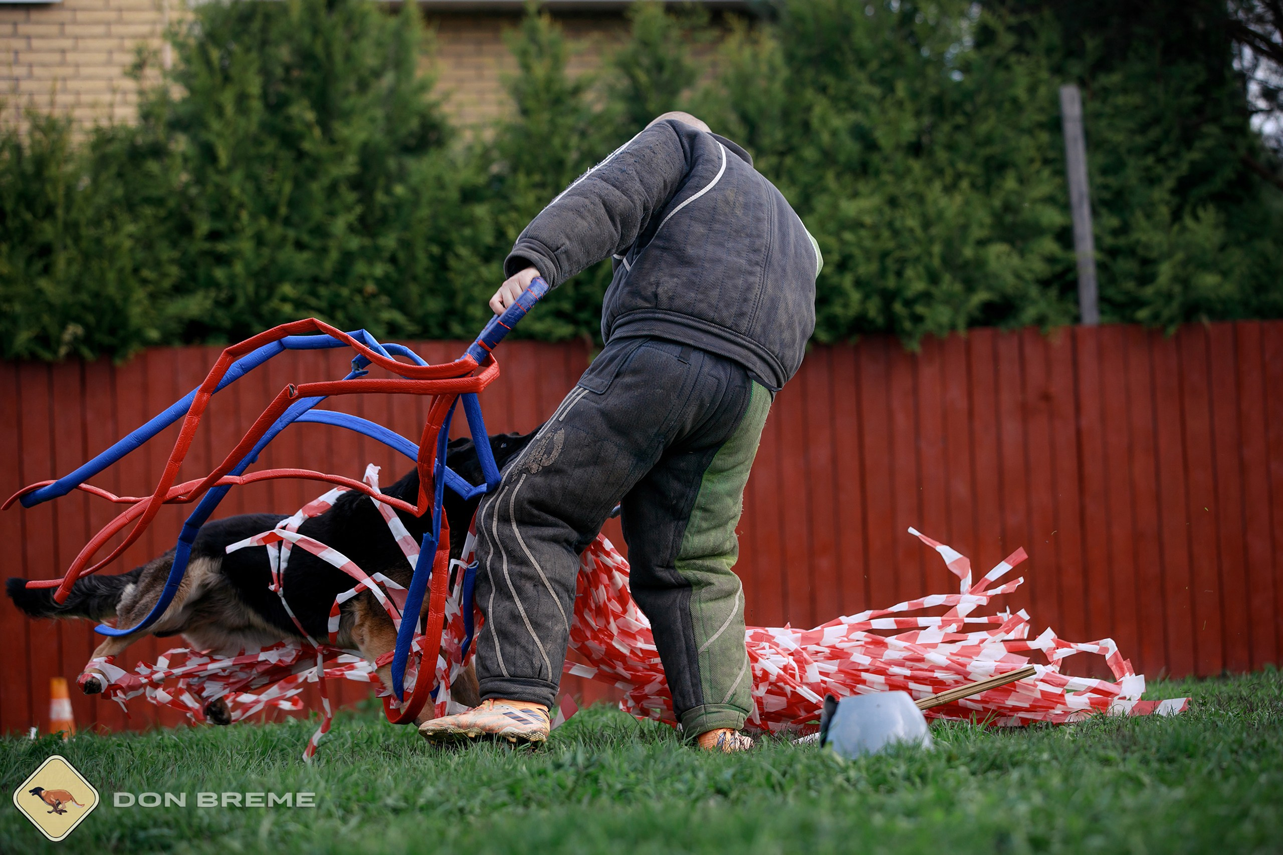 Семинар для фигурантов, день 2. Фотограф-анималист Mary Mart — Москва, Питер