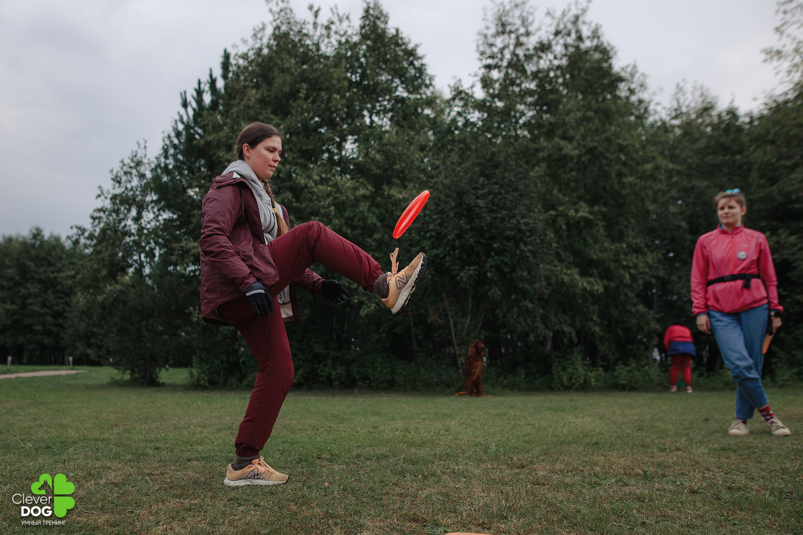 Кинологический лагерь CleverDog, 2024. Фотограф-анималист Mary Mart — Москва, Питер