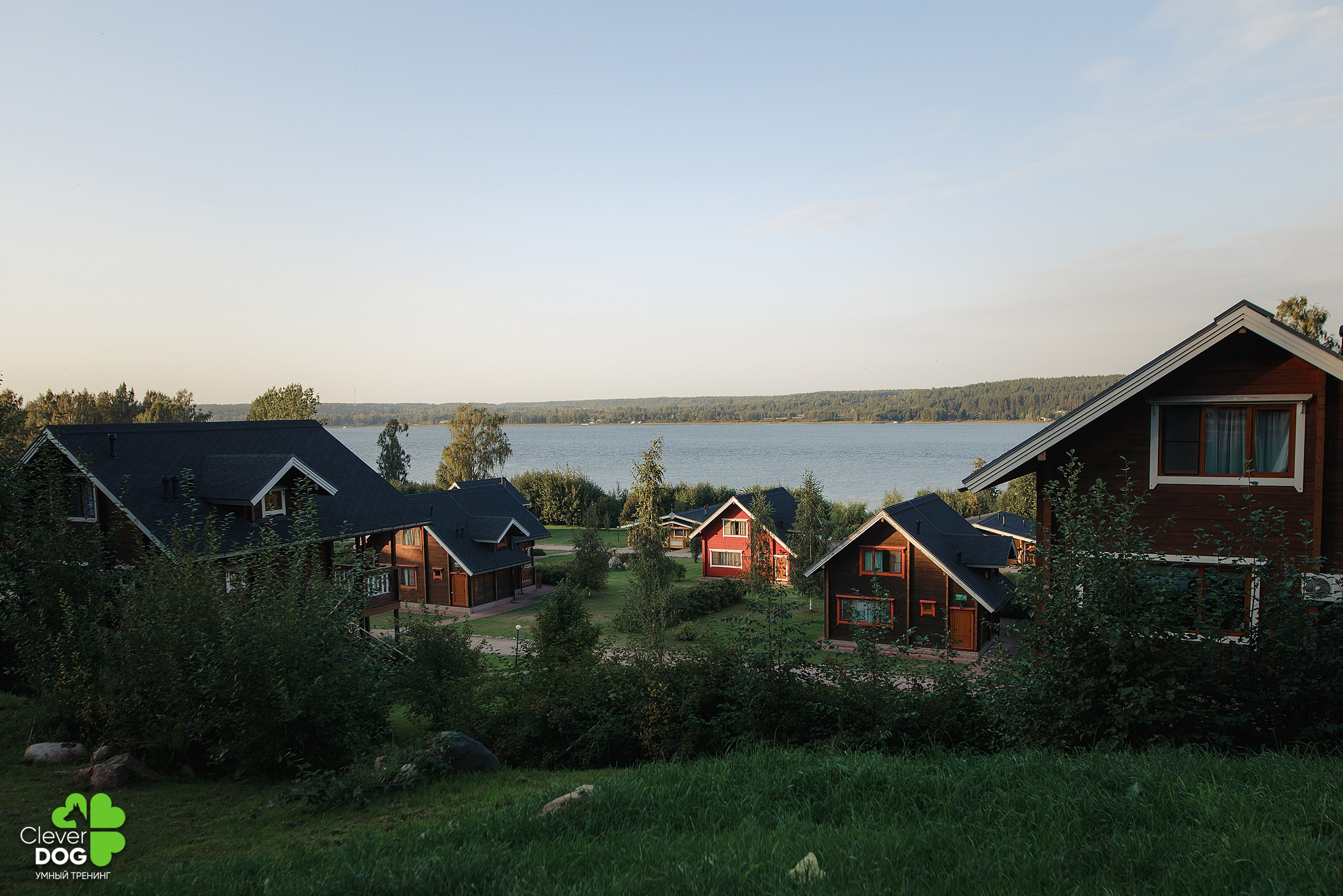 Кинологический лагерь CleverDog, 2024. Фотограф-анималист Mary Mart — Москва, Питер
