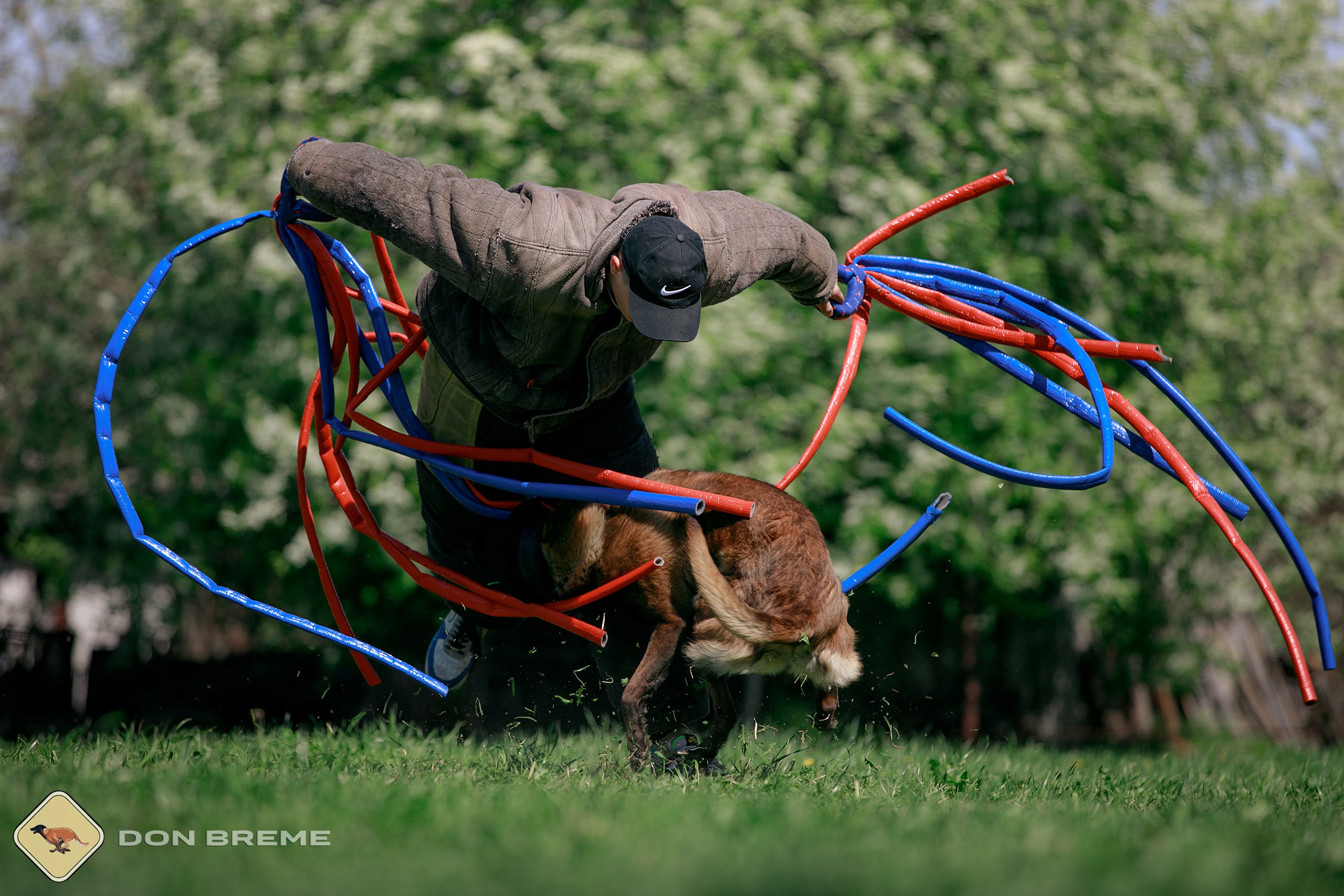 Семинар для фигурантов, день 4. Фотограф-анималист Mary Mart — Москва, Питер