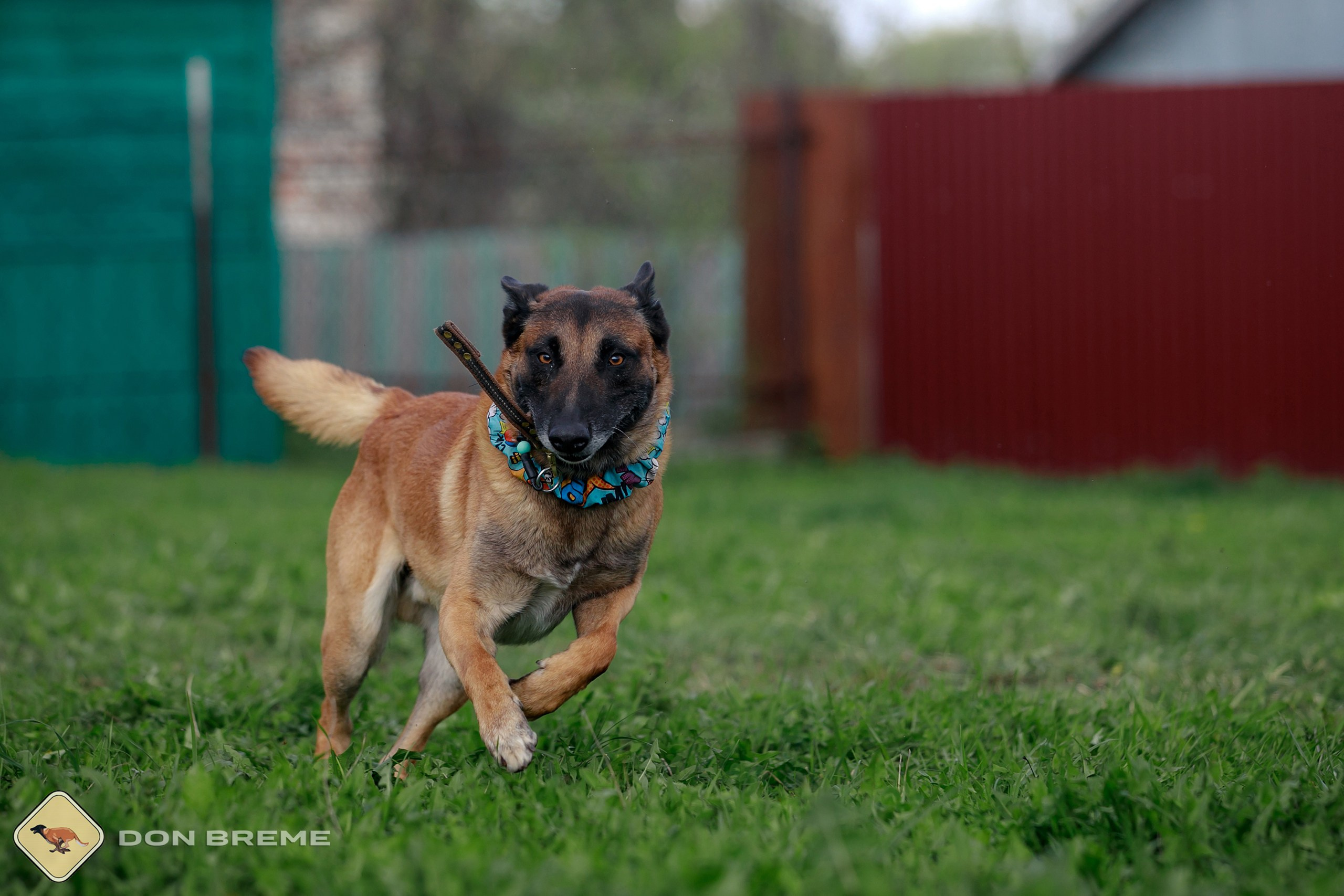 Семинар для фигурантов, день 2. Фотограф-анималист Mary Mart — Москва, Питер