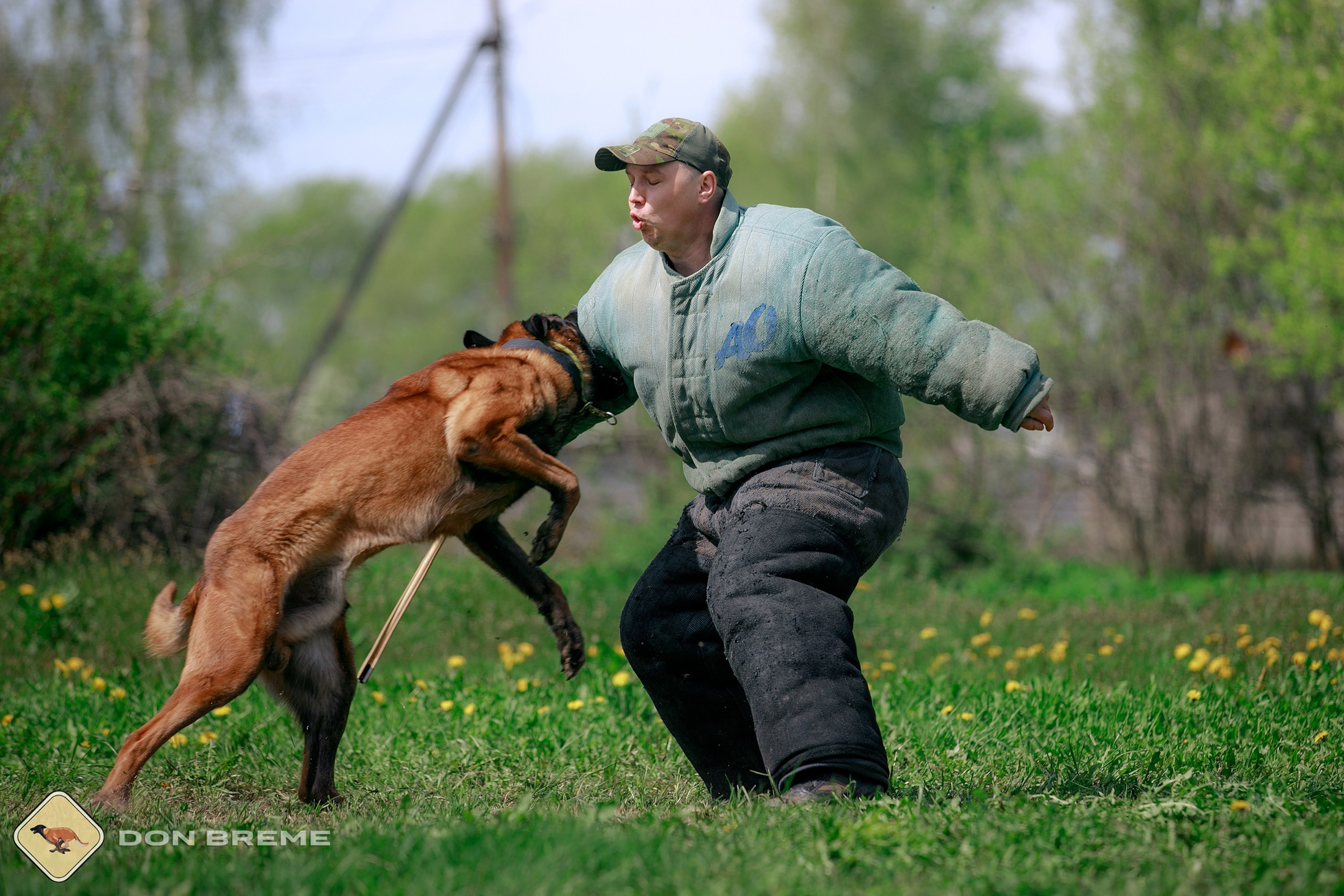 Семинар для фигурантов, день 4. Фотограф-анималист Mary Mart — Москва, Питер