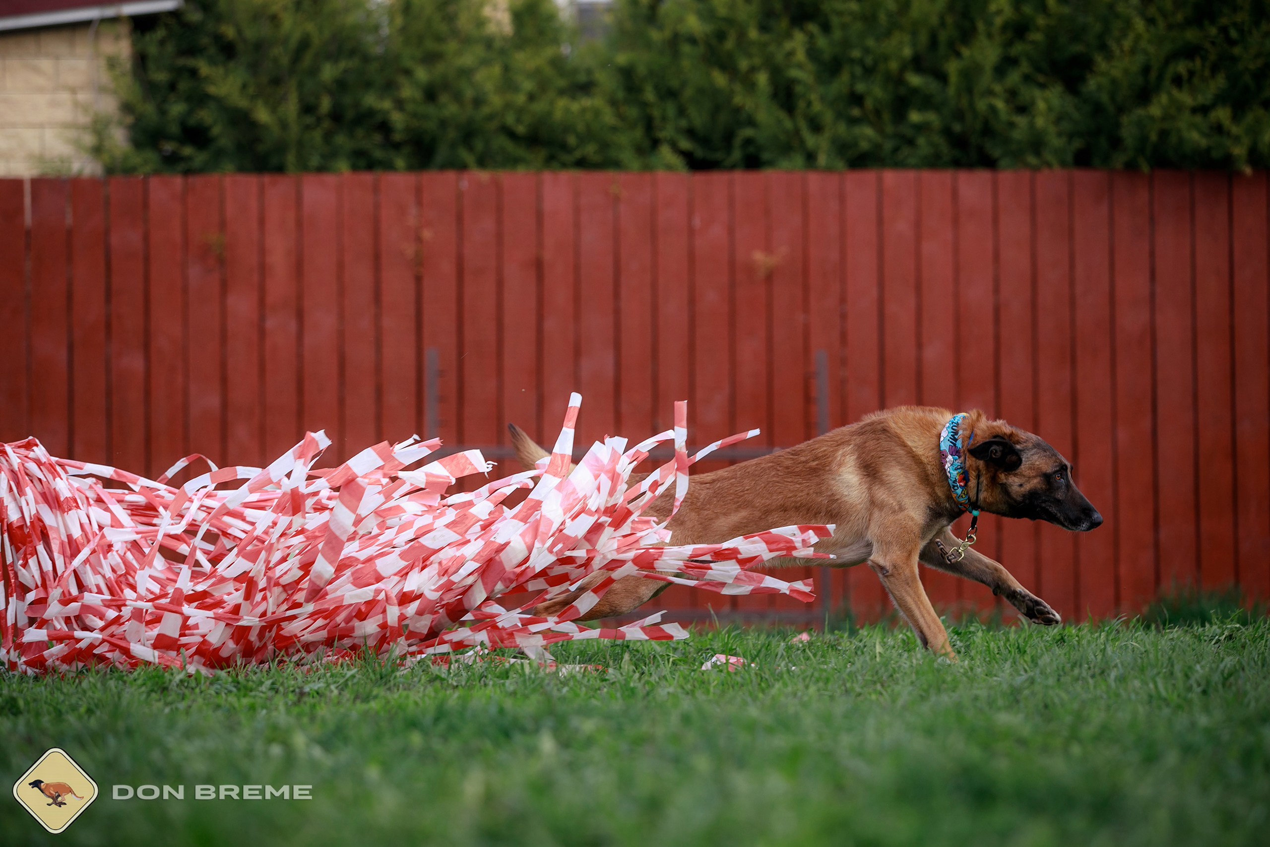 Семинар для фигурантов, день 2. Фотограф-анималист Mary Mart — Москва, Питер
