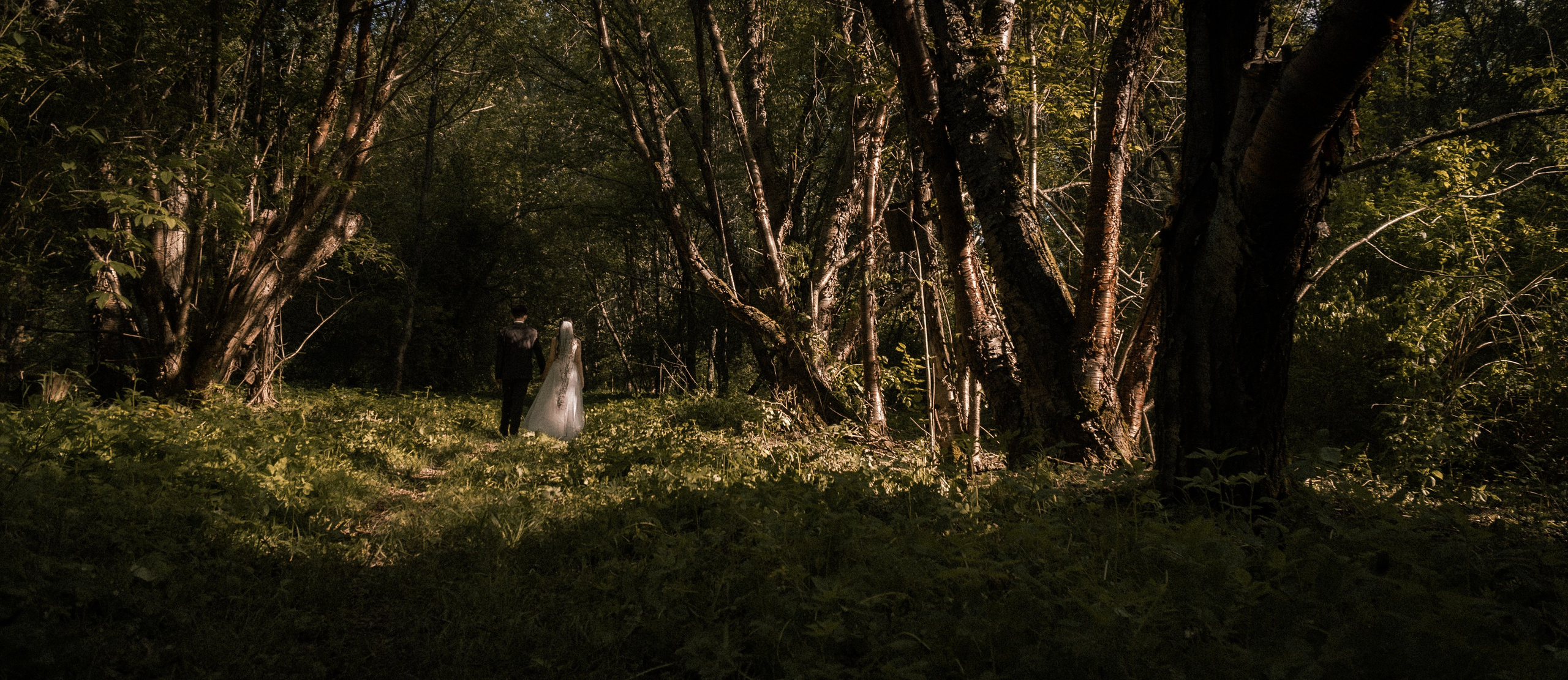 Алина и Арсений. Фотограф и видеограф Андрей Кукишев