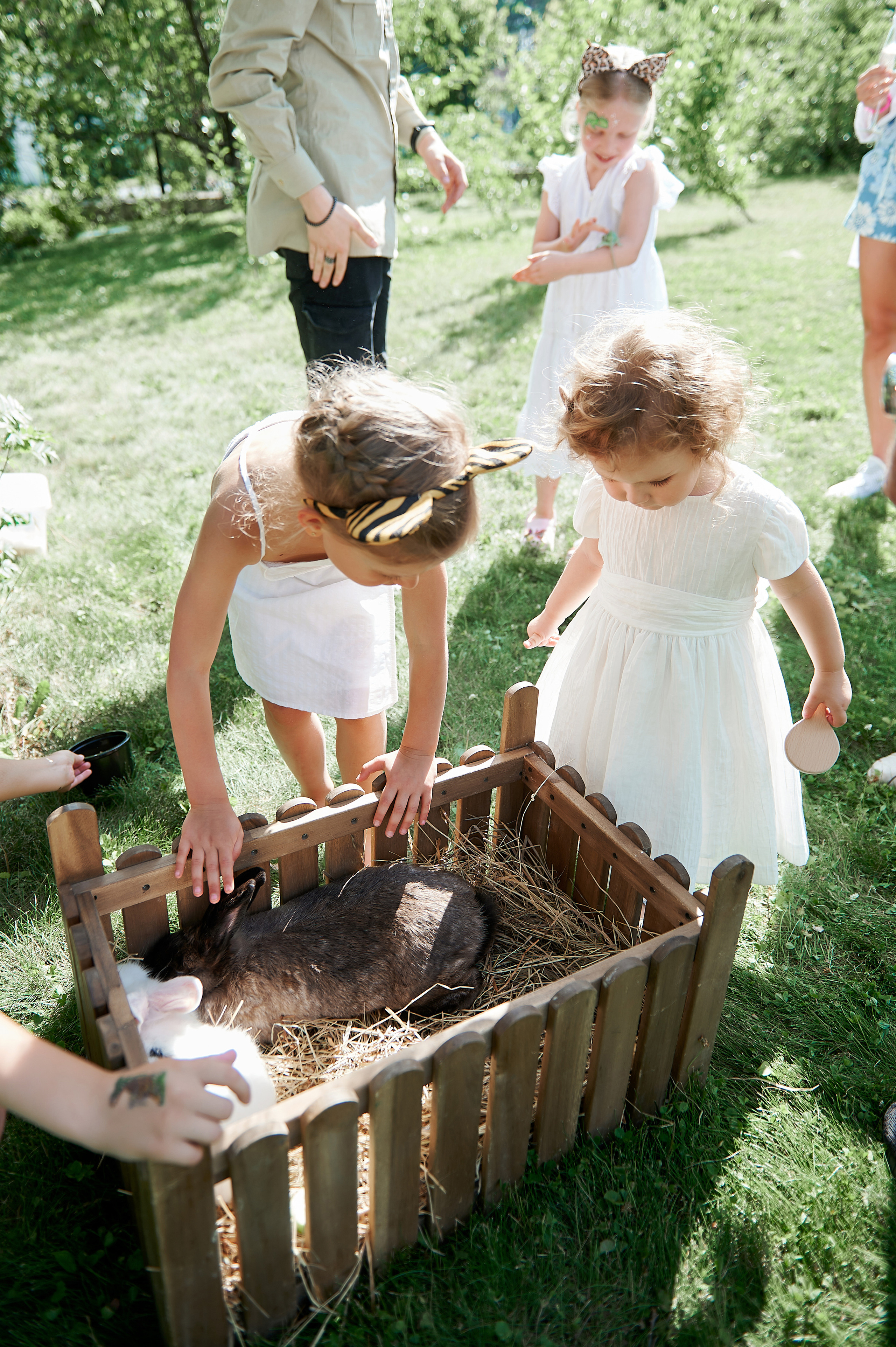 День рождения Бэллы. Семейный и репортажный фотограф Сергей Белягиин г. Екатеринбург