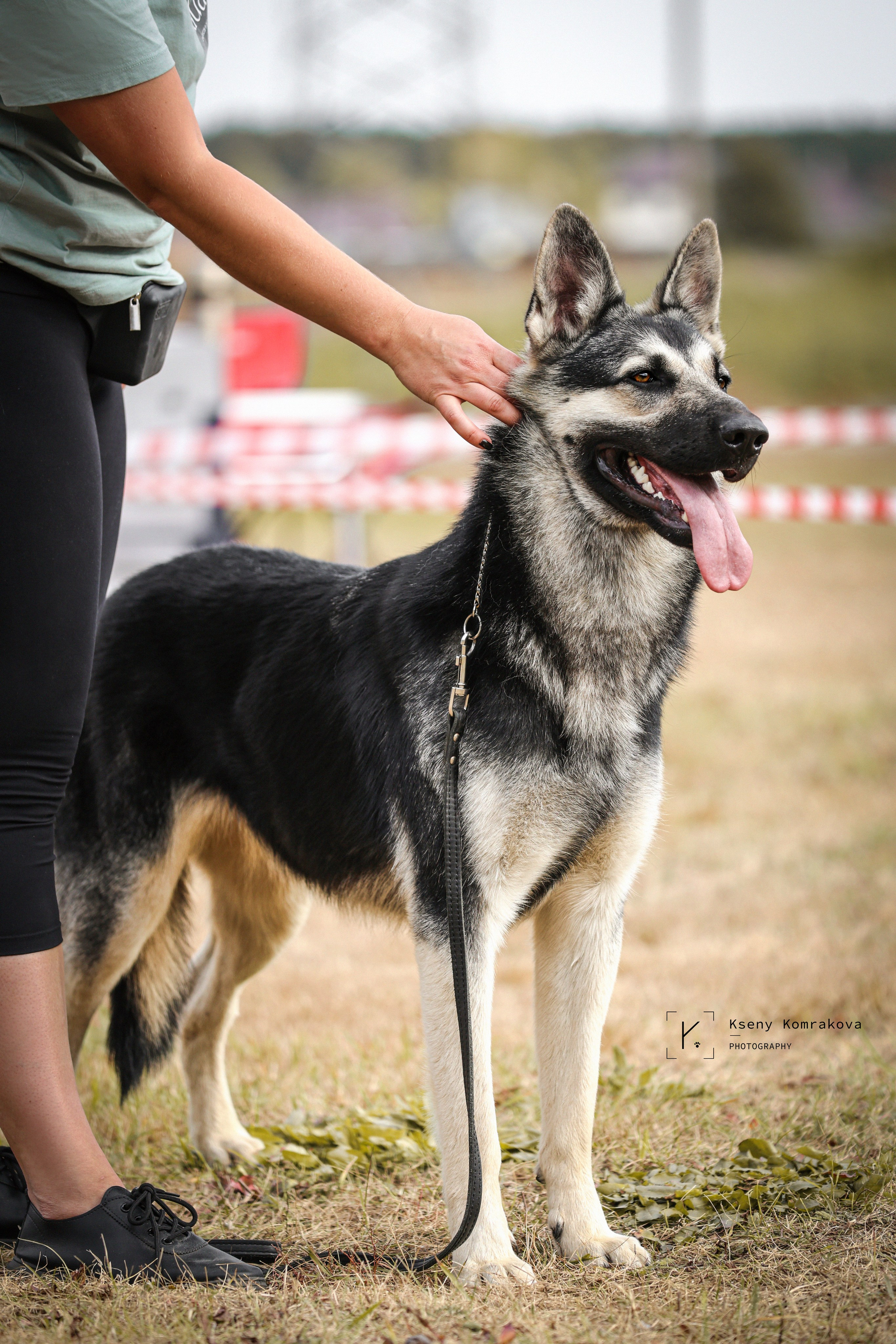 Анималистика. Репортаж. Индивидуальная съемка