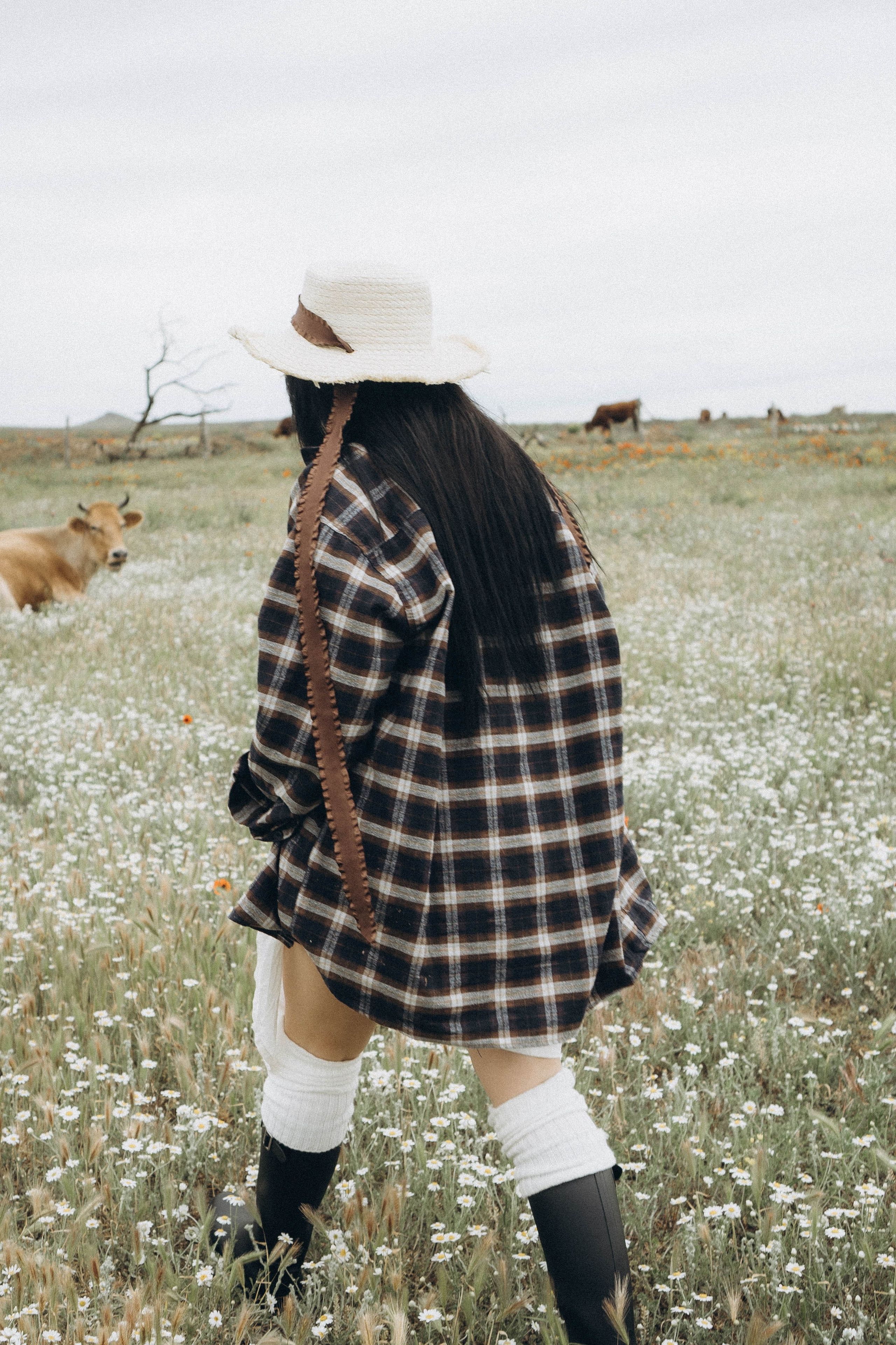 Маковое поле. Профессиональный фотограф, Санкт-Петербург — Виктория Богомолова