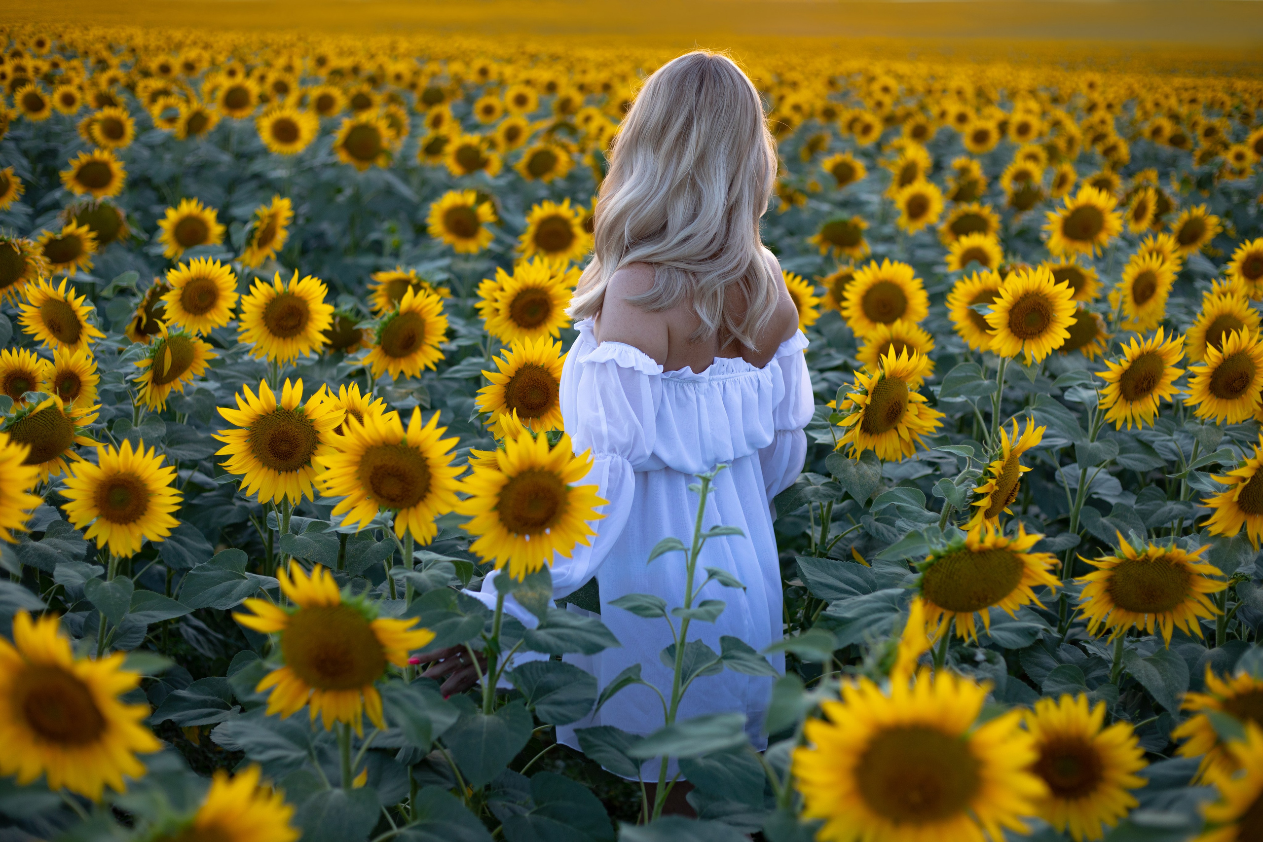 Портфолио. Фотограф Севастополь/Крым Светлана Евтушенко