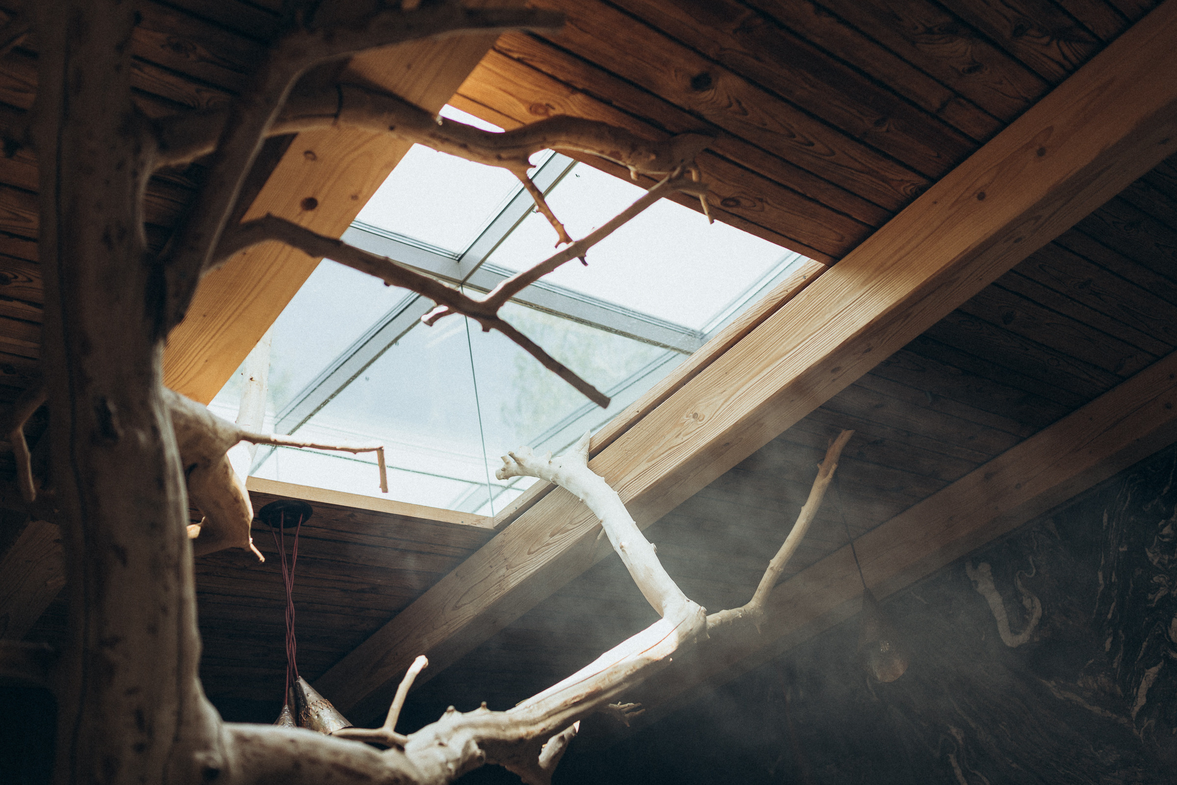 ***. Портретный фотограф в Минске Вероника Ковалевская