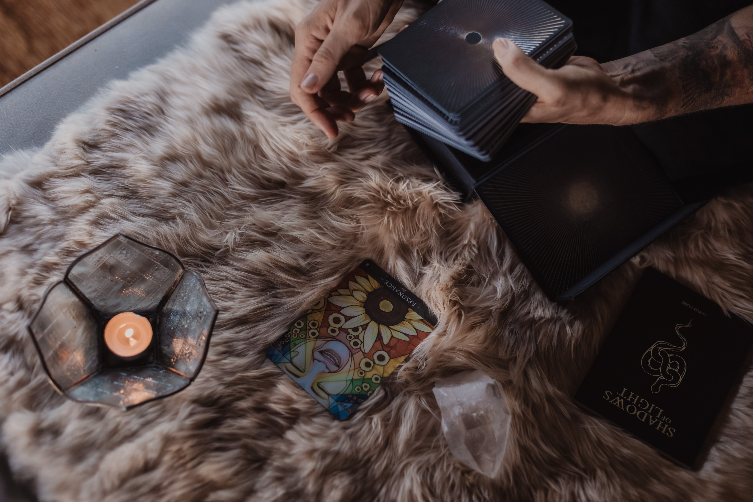 Haylee. Мариам Багдасарян