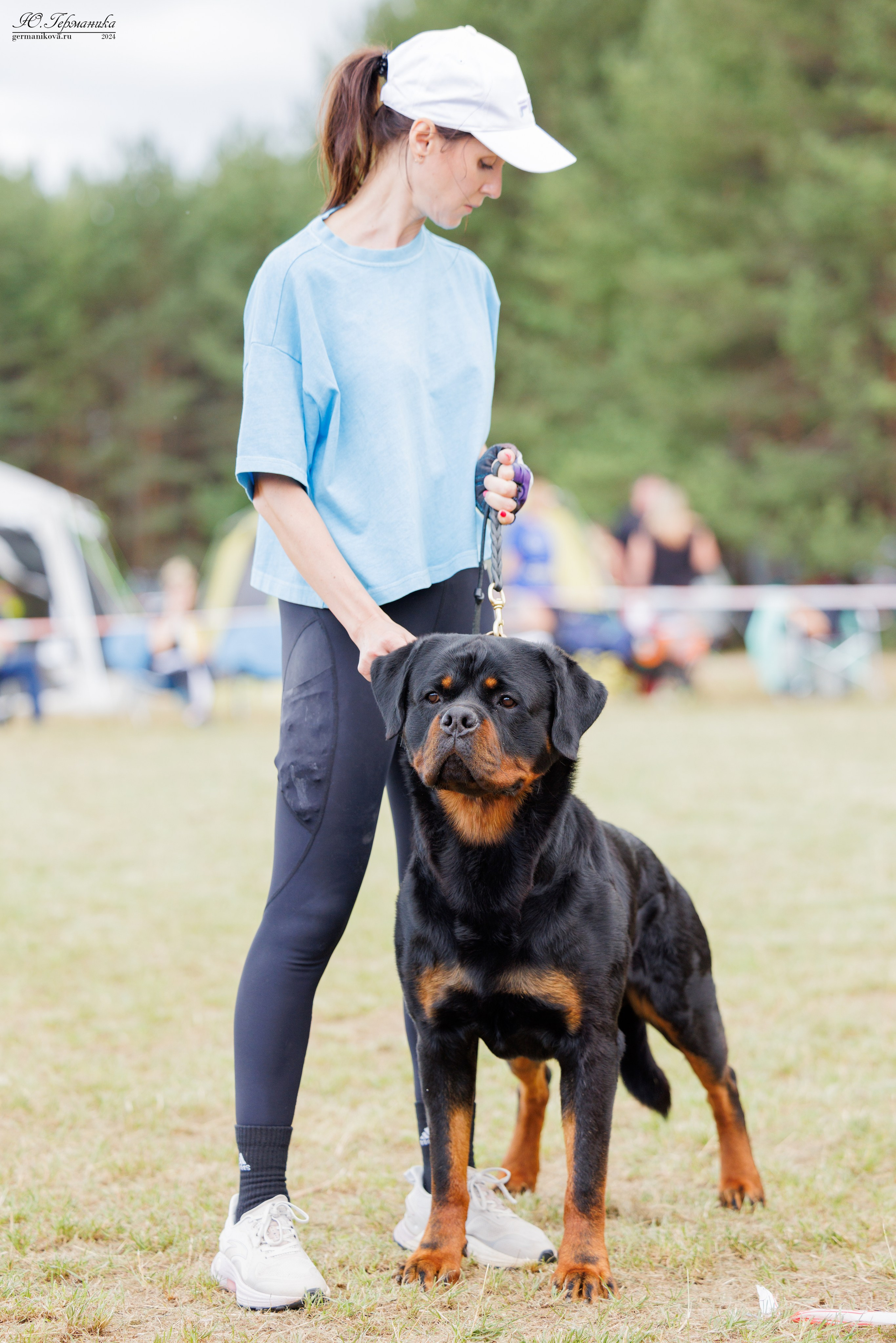 ПК и КЧК ротвейлеры Тверь 6-7.07.2024. Фотограф-анималист Юлия Германика