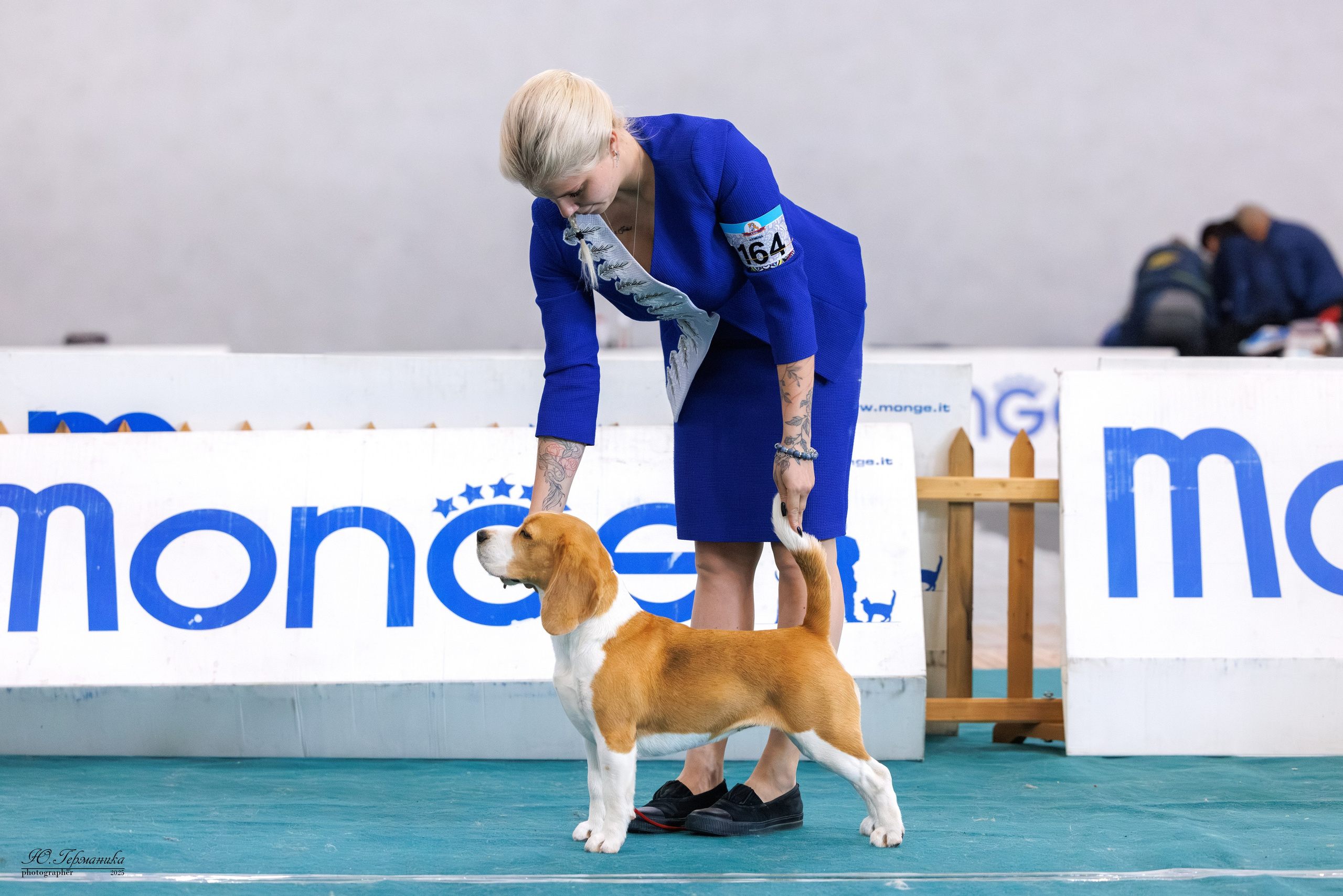 Ереван 2х CACIB 29-30.04.2025. Фотограф-анималист Юлия Германика