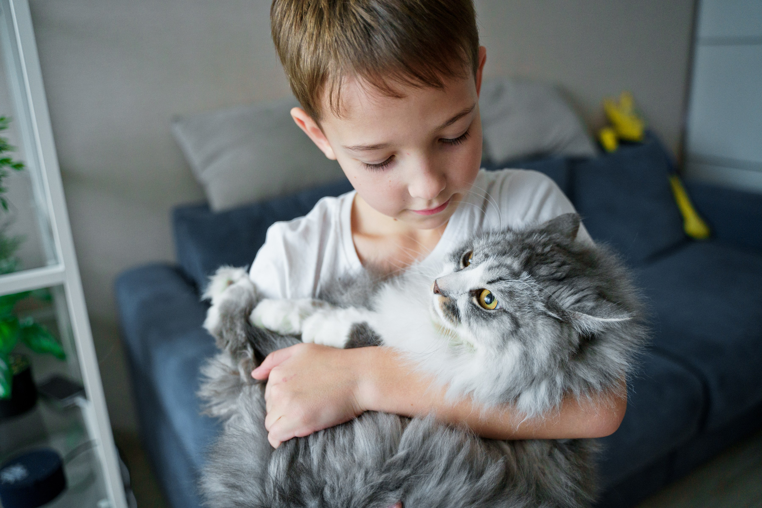 Вова, Вероника + 2. Главная