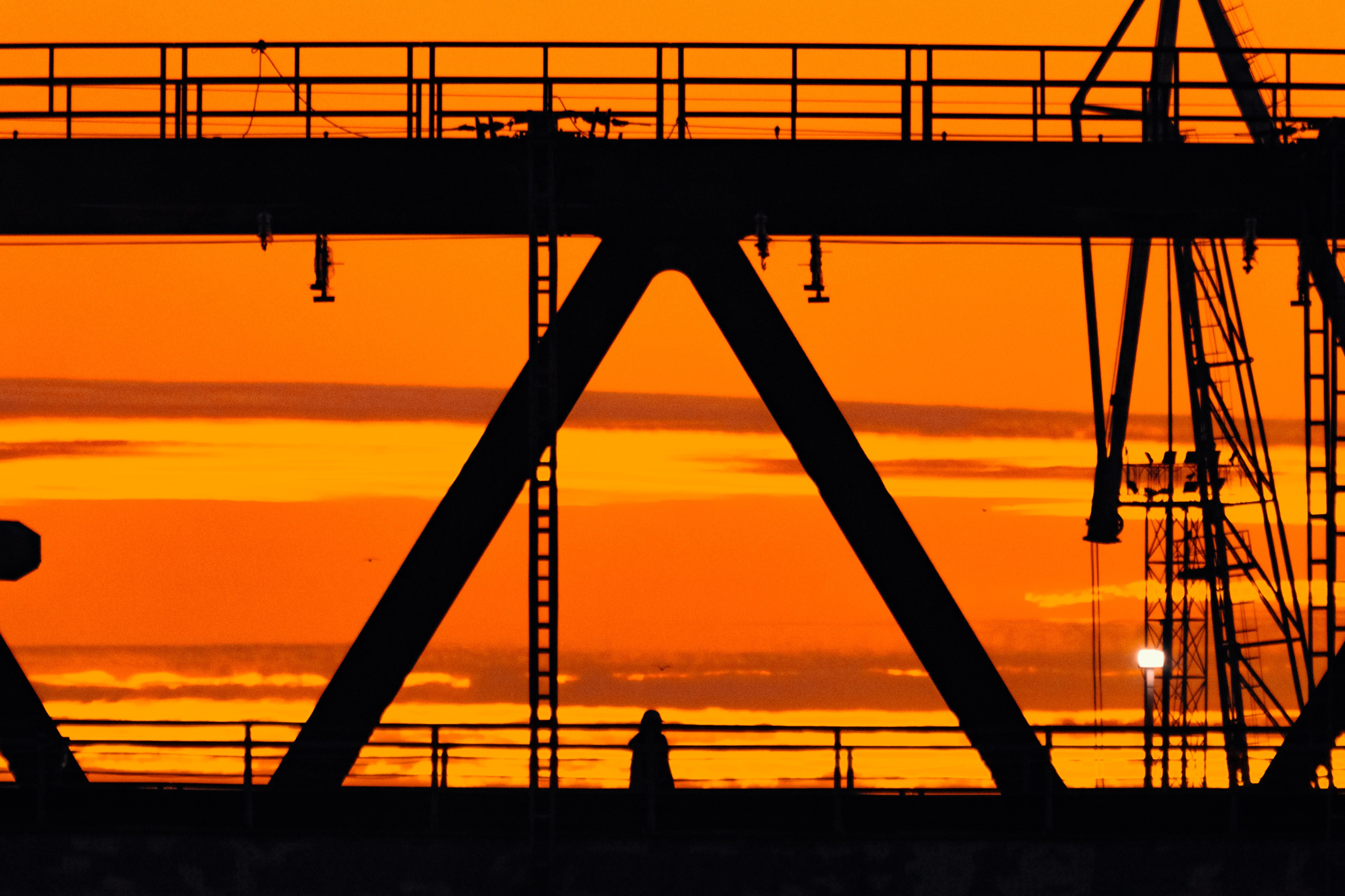 З А К А Т Ы. — Digital Noise —