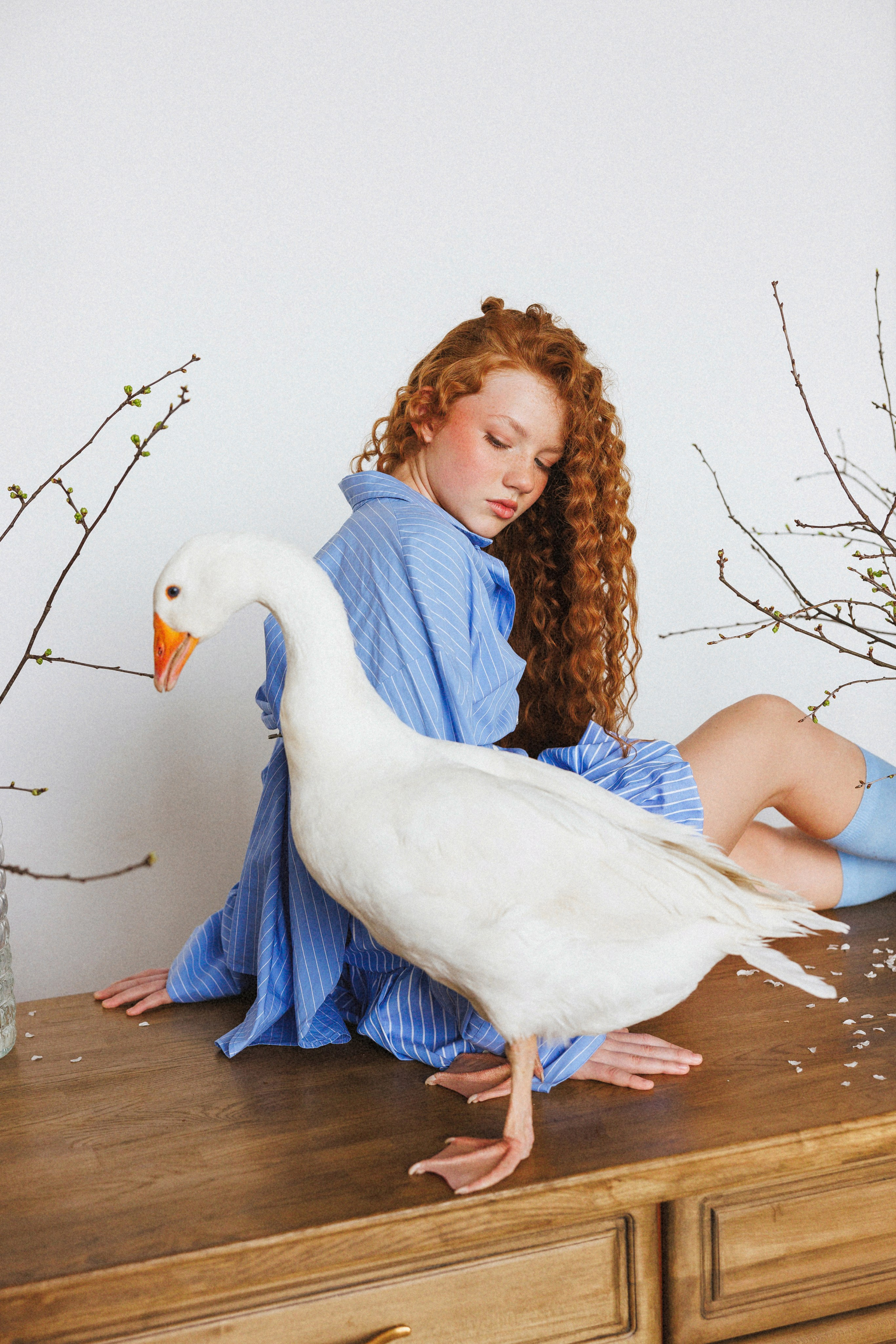 Фотосессия с Гусем в фотостудии «Lite, город Краснодар. Семейный и детский фотограф в Краснодаре Анна Трашкова