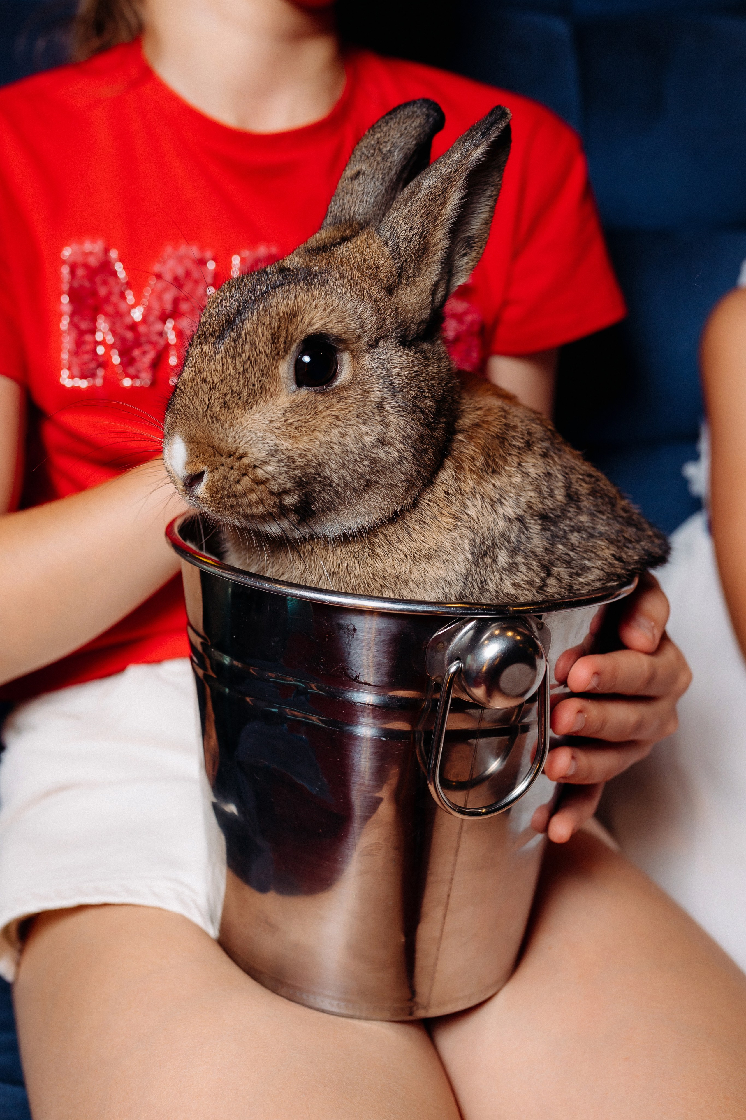 Дни Рождения. Фотограф в Санкт-Петербурге Кирюшенков Андрей