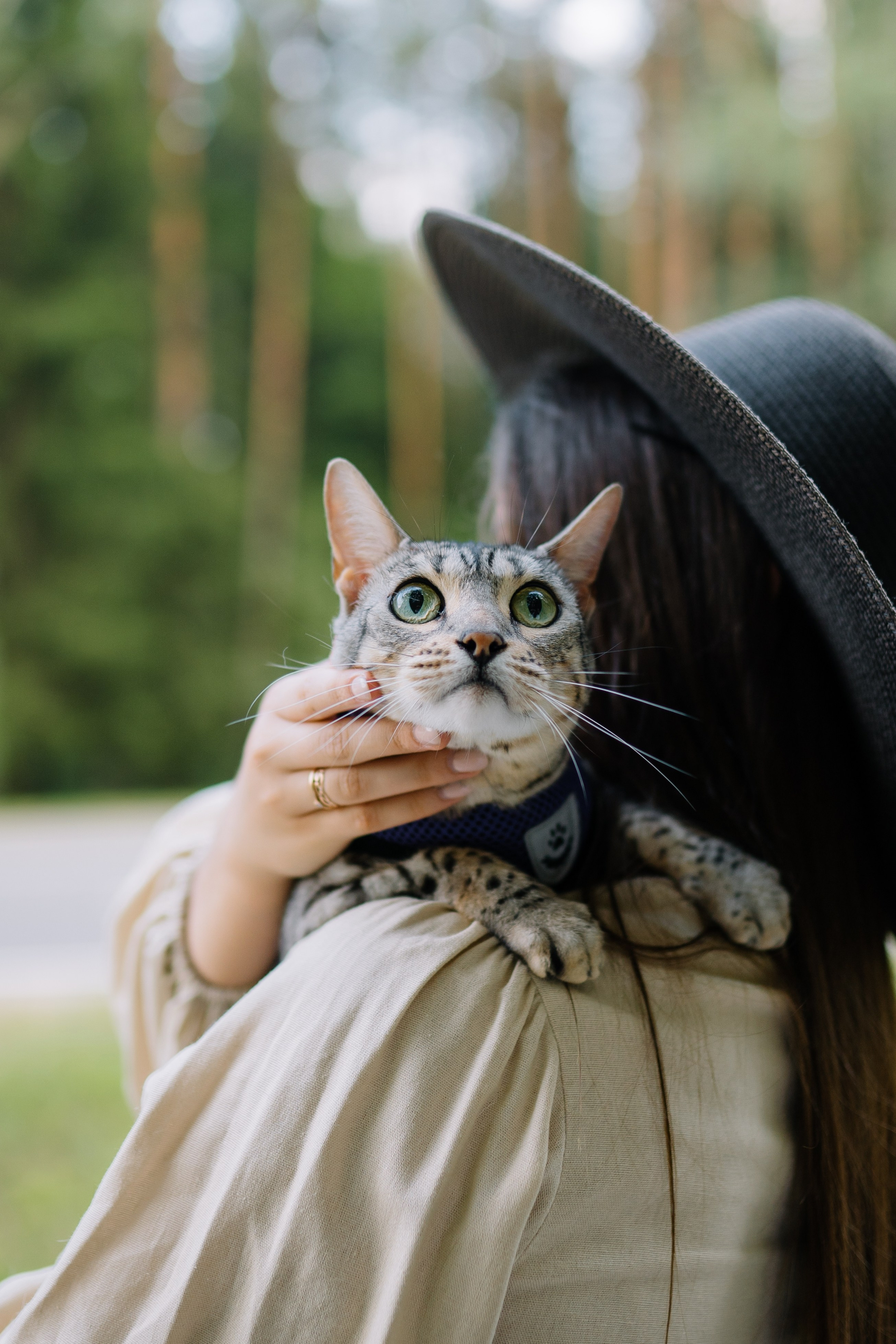 Диана и Элис