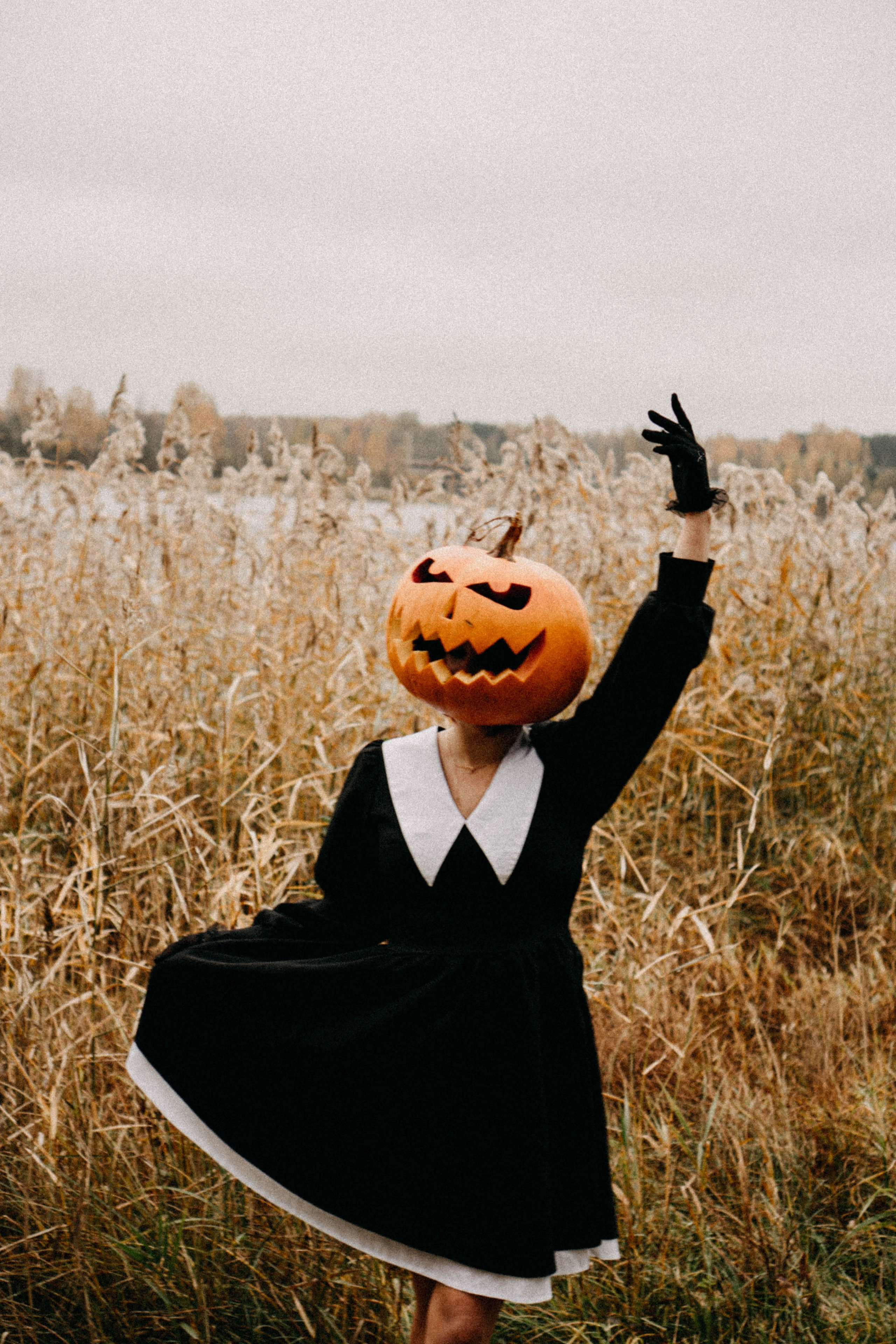 Осеняя. Профессиональный фотограф, Санкт-Петербург — Виктория Богомолова