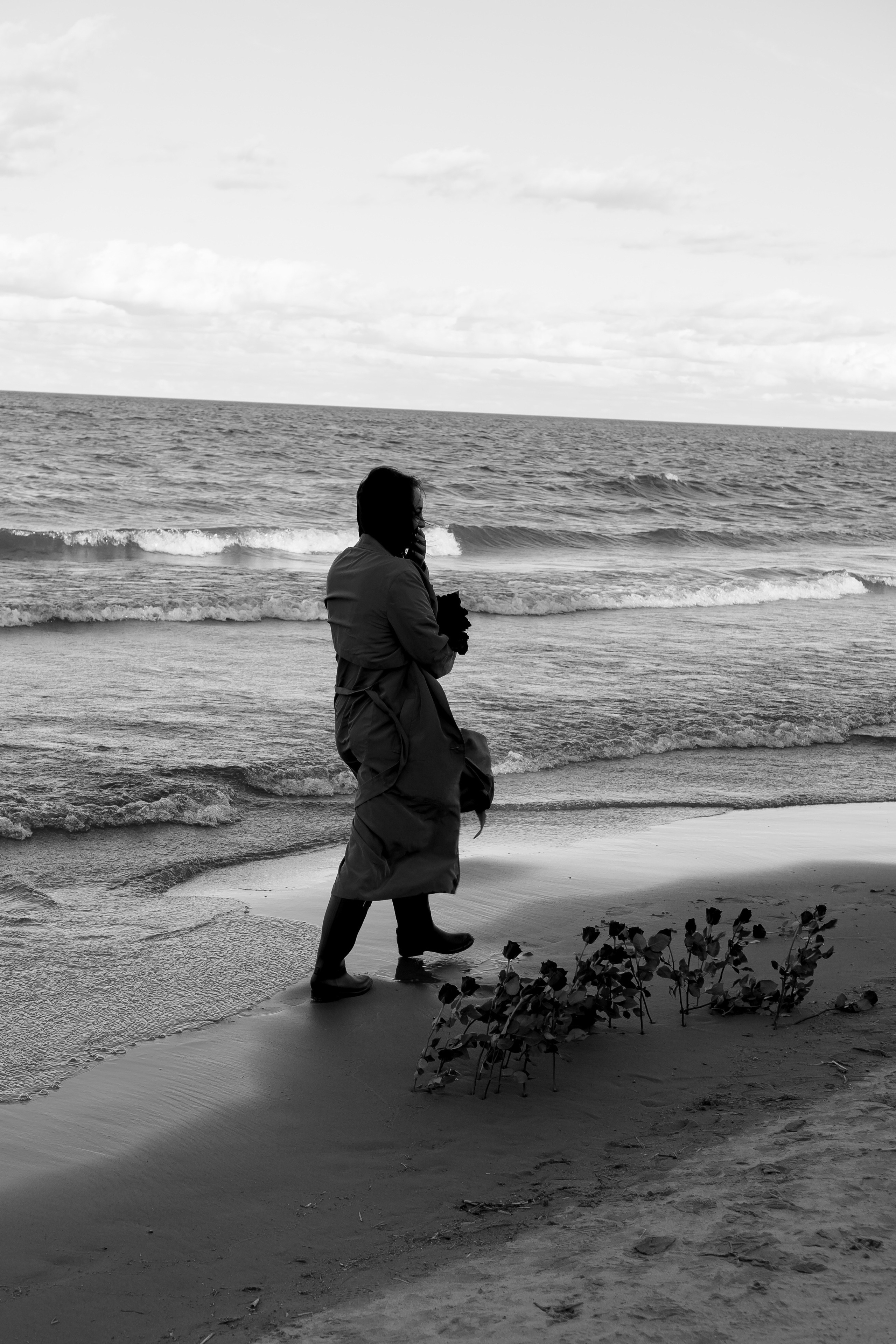 Розы. Профессиональный фотограф, Санкт-Петербург — Виктория Богомолова