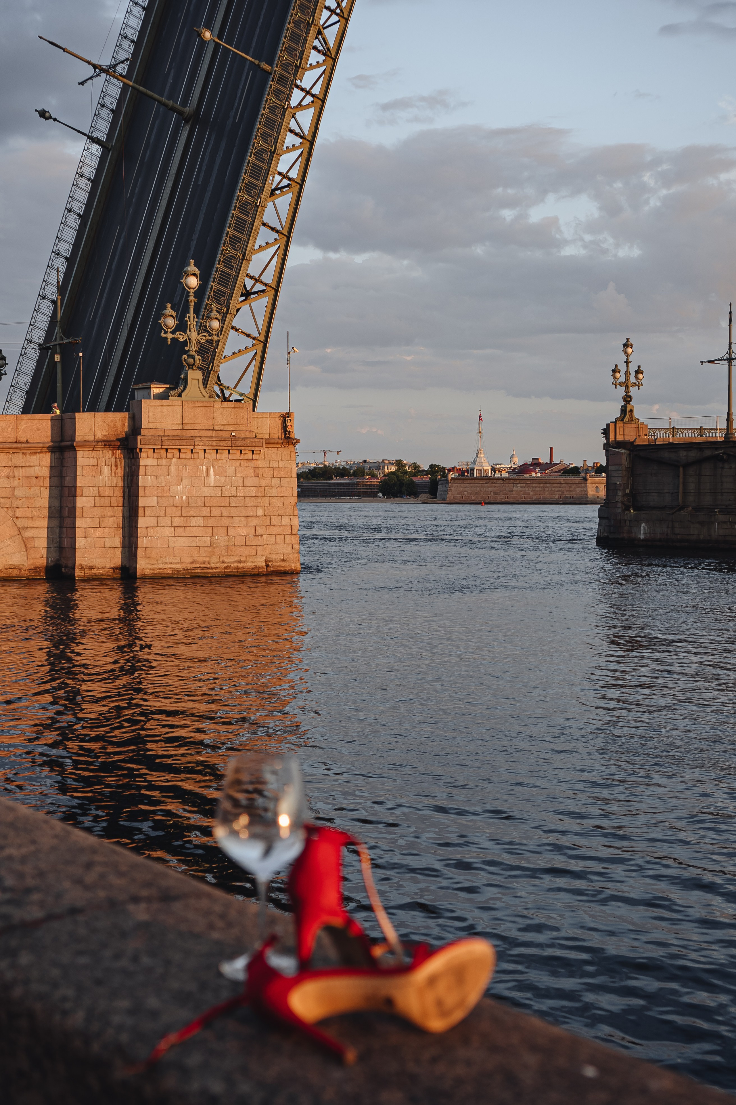 Прогулка на рассвете. Профессиональный фотограф, Санкт-Петербург — Виктория Богомолова