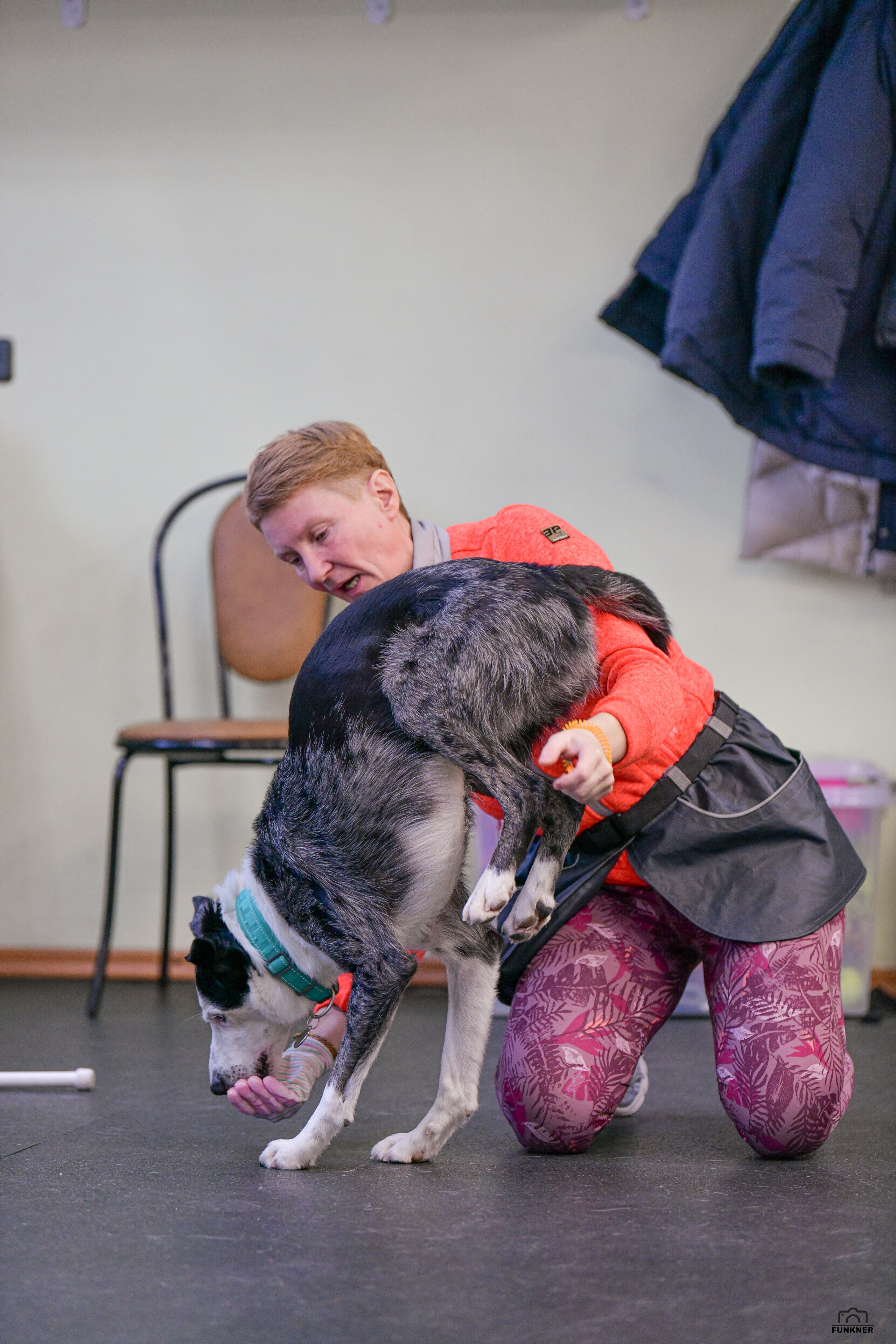 Кинологический клуб «Бодрый хвост». Свой взгляд через объектив