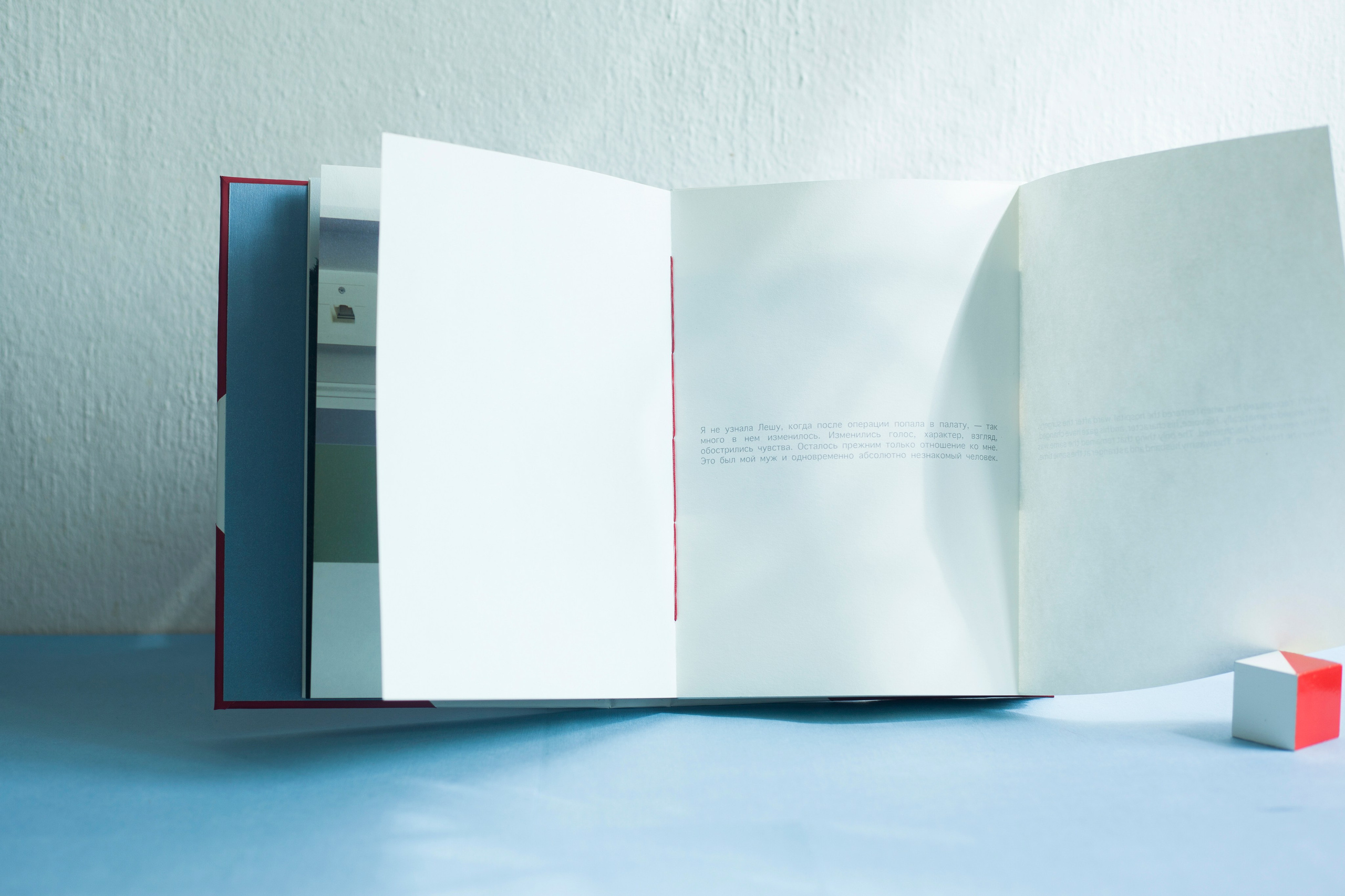 A book about the project. Aleksandra Mikhailova multimedia artist