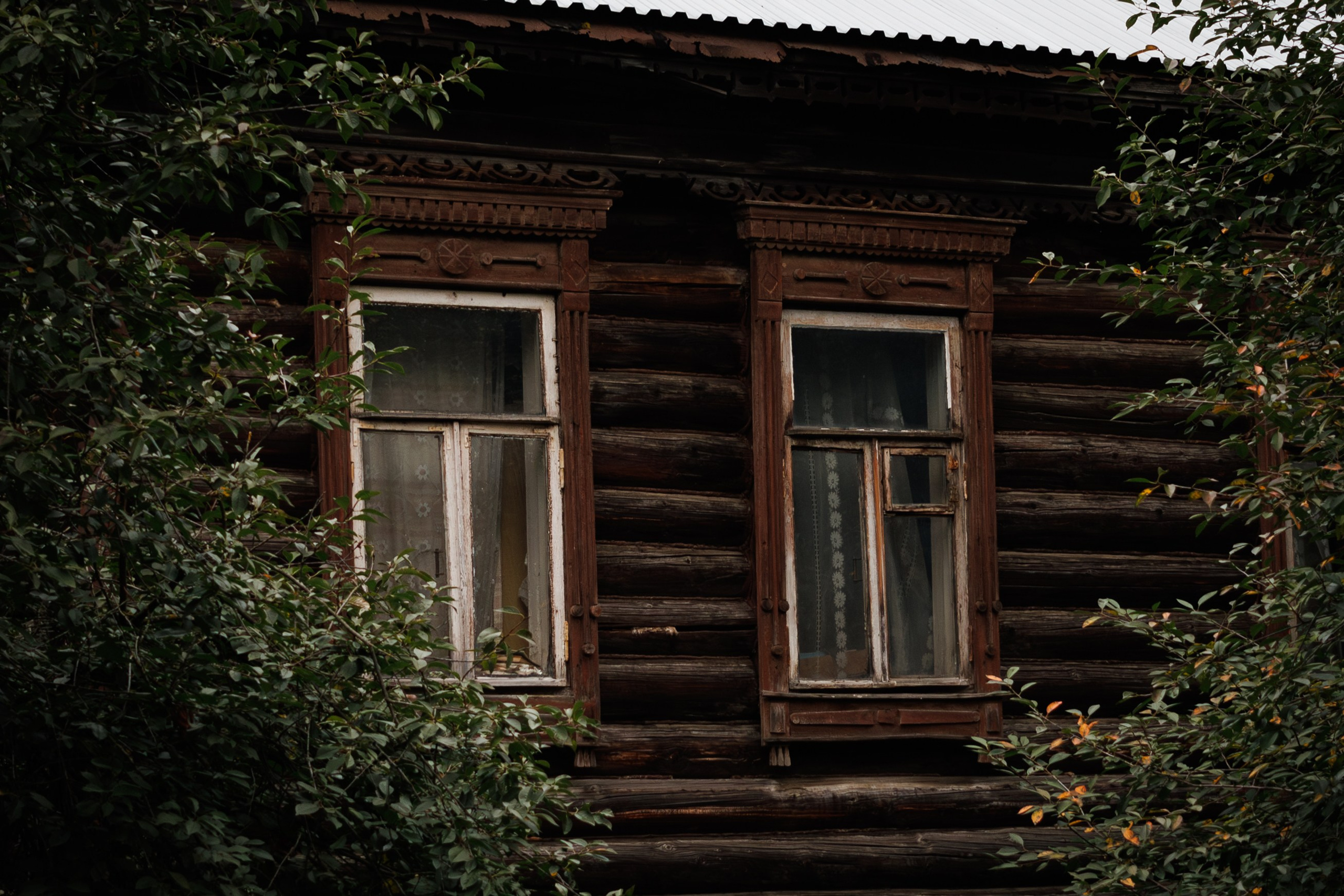 Plotina. Dumshap | думшап