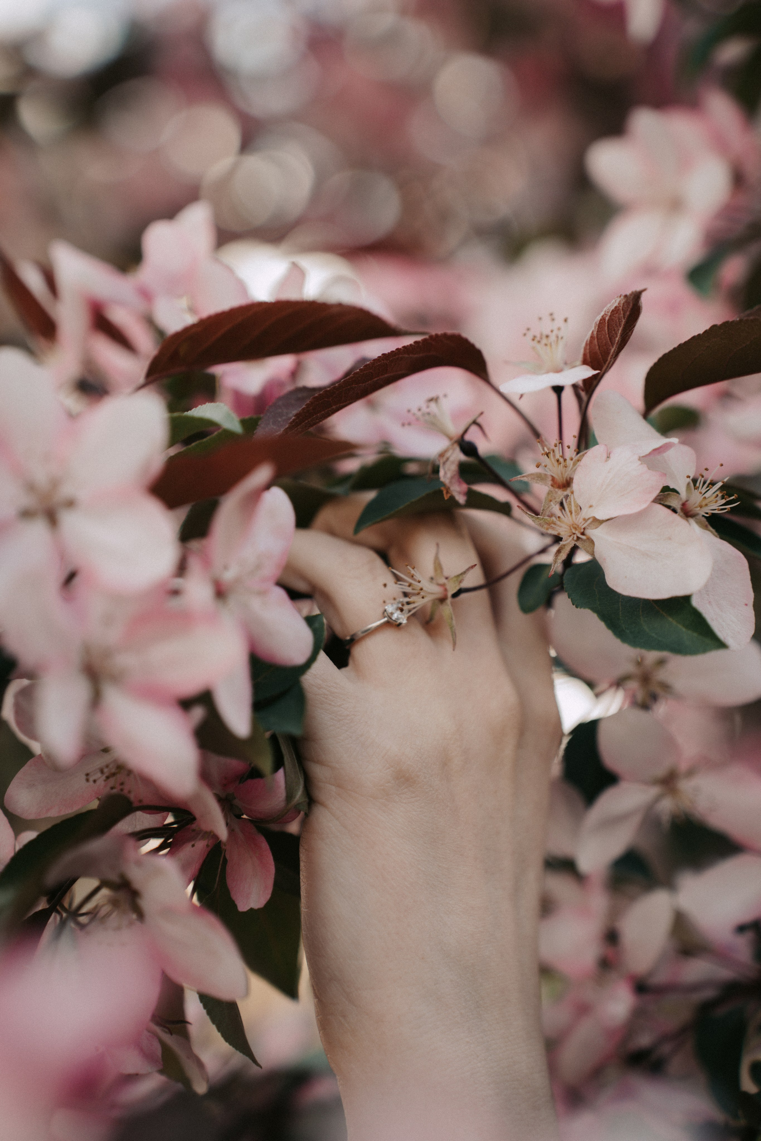 Алина. Главная