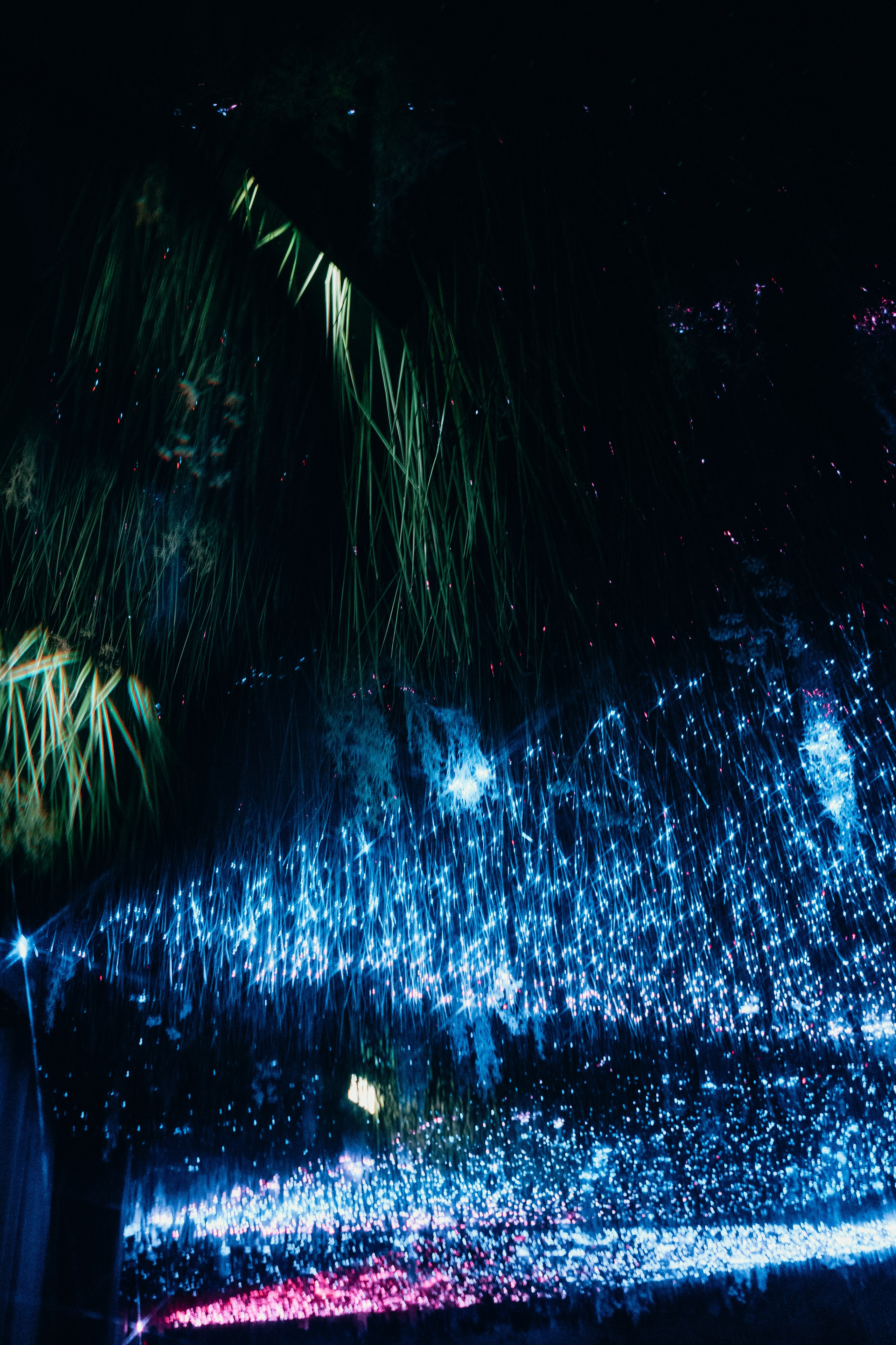 NUR 2024. Главная