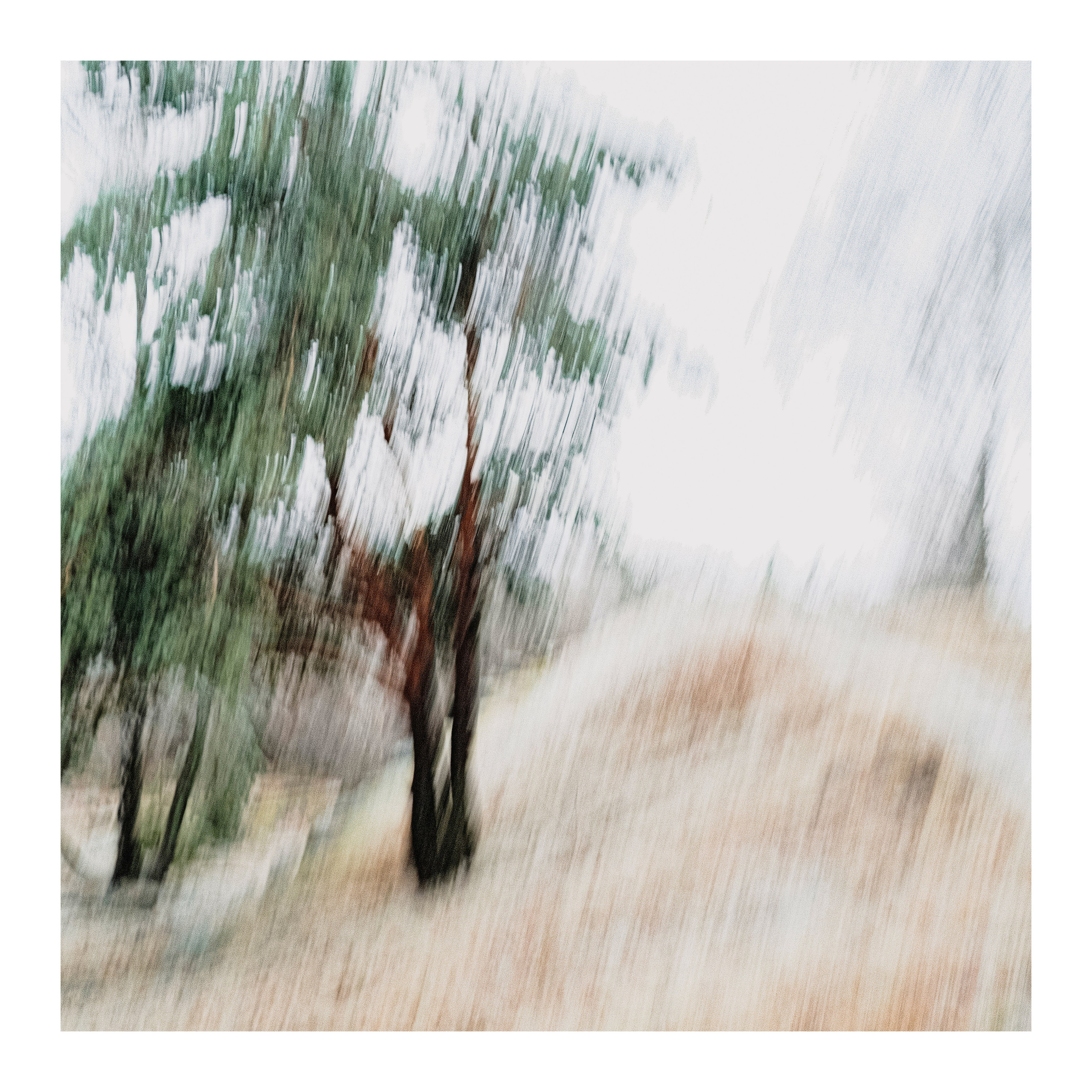 Парк. Портретный и арт-фотограф в Санкт-Петербурге и Выборге Олег Борцов