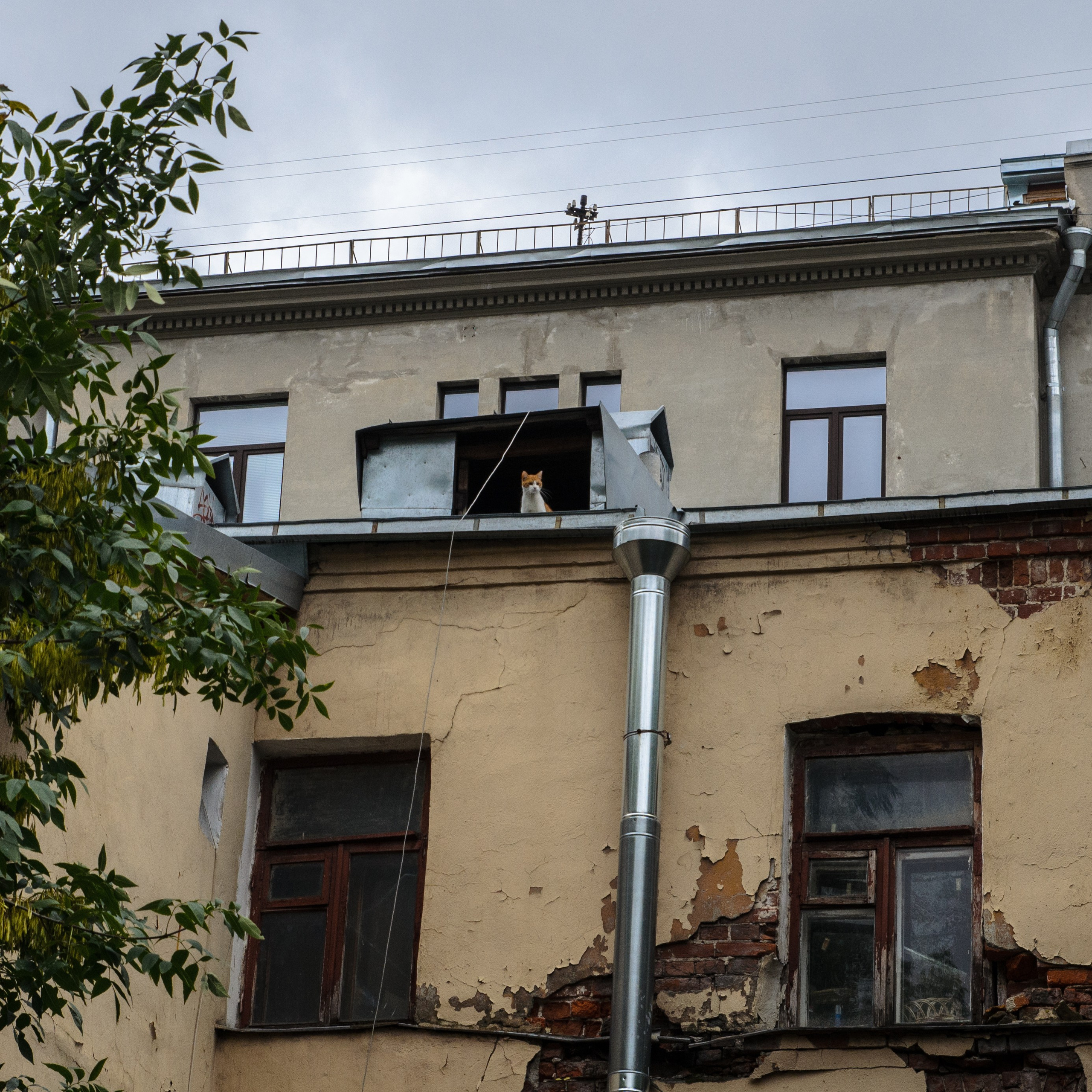 Интересное рядом. Фото, видео, монтаж