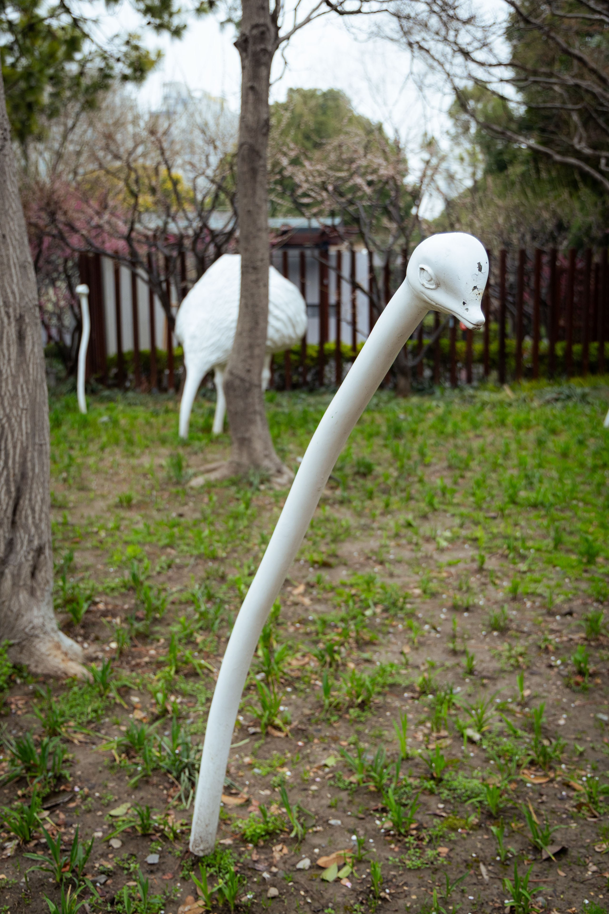 Шанхай (март 2026). Фотограф Виноградов Константин