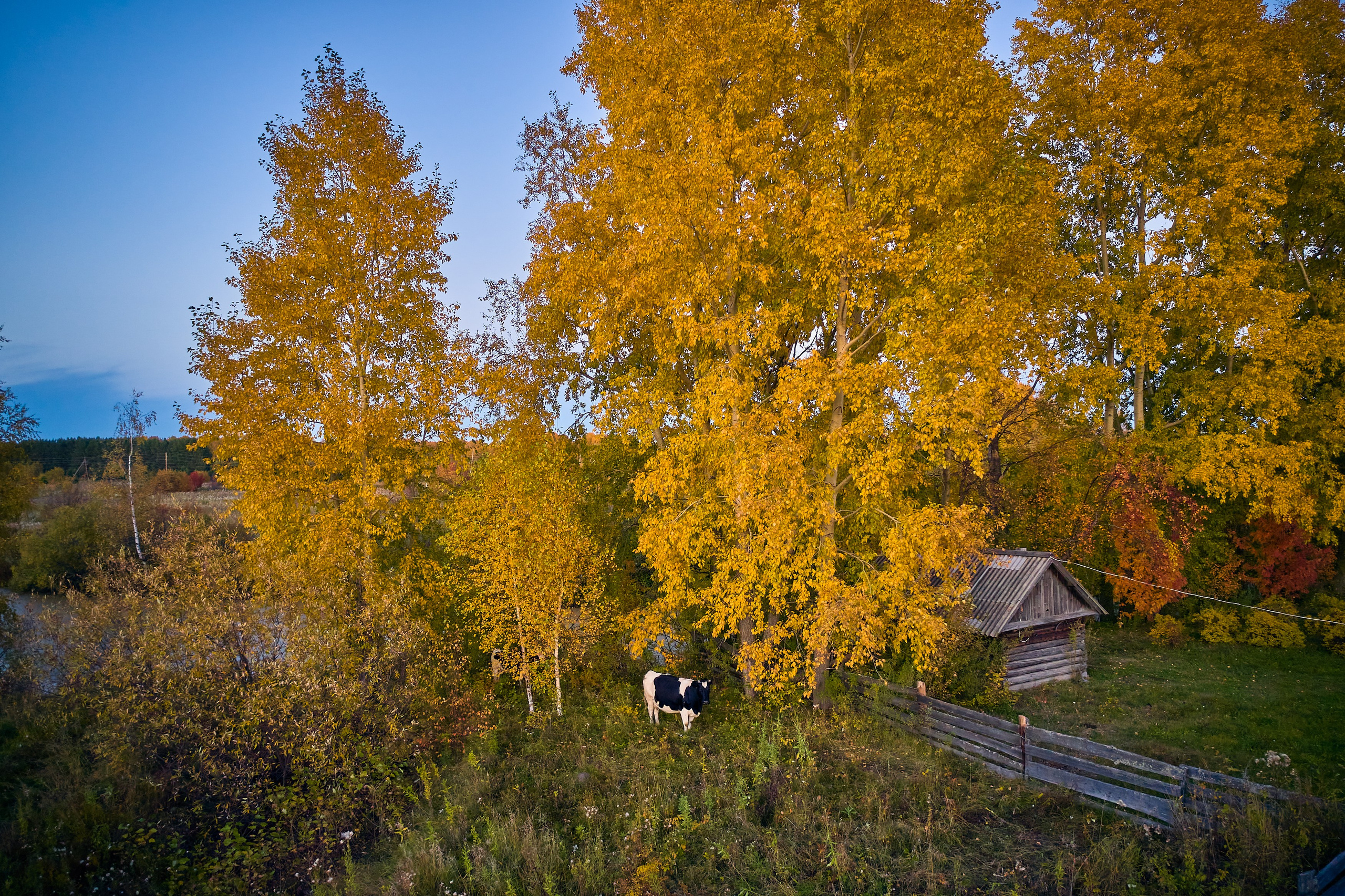 Фото с птичьего полета. DMITRY MOISEENKO — фотограф, художник, топ-стилист