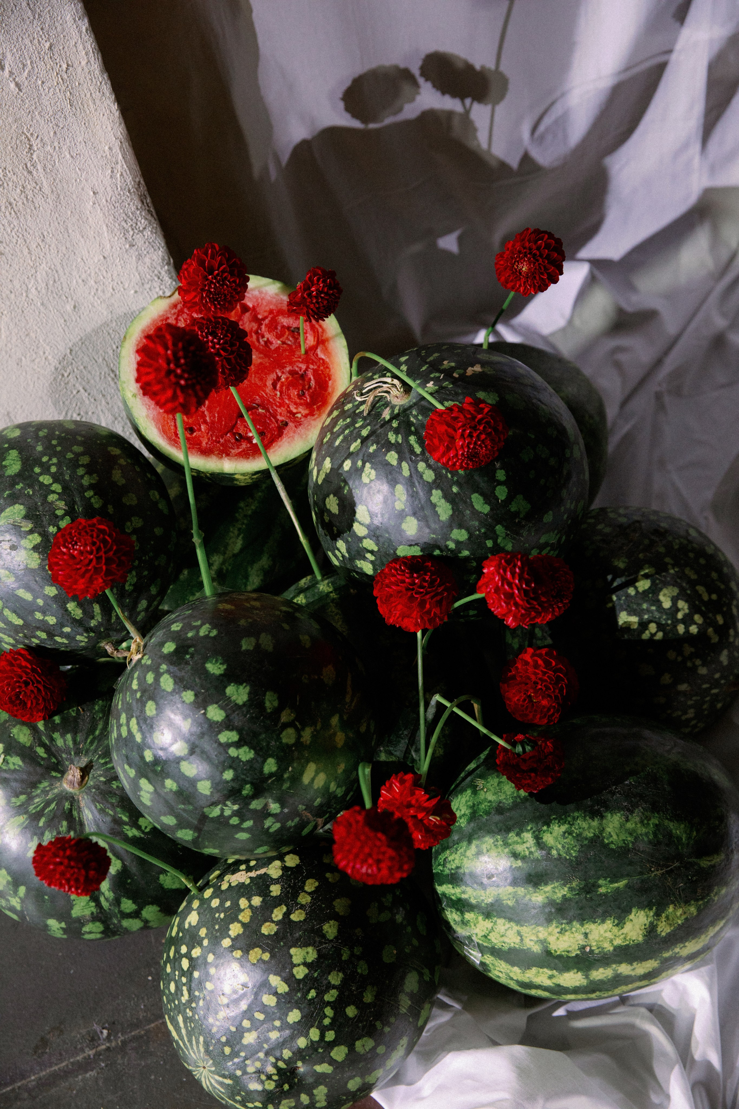 Watermelon party. Свадебный и репортажный фотограф