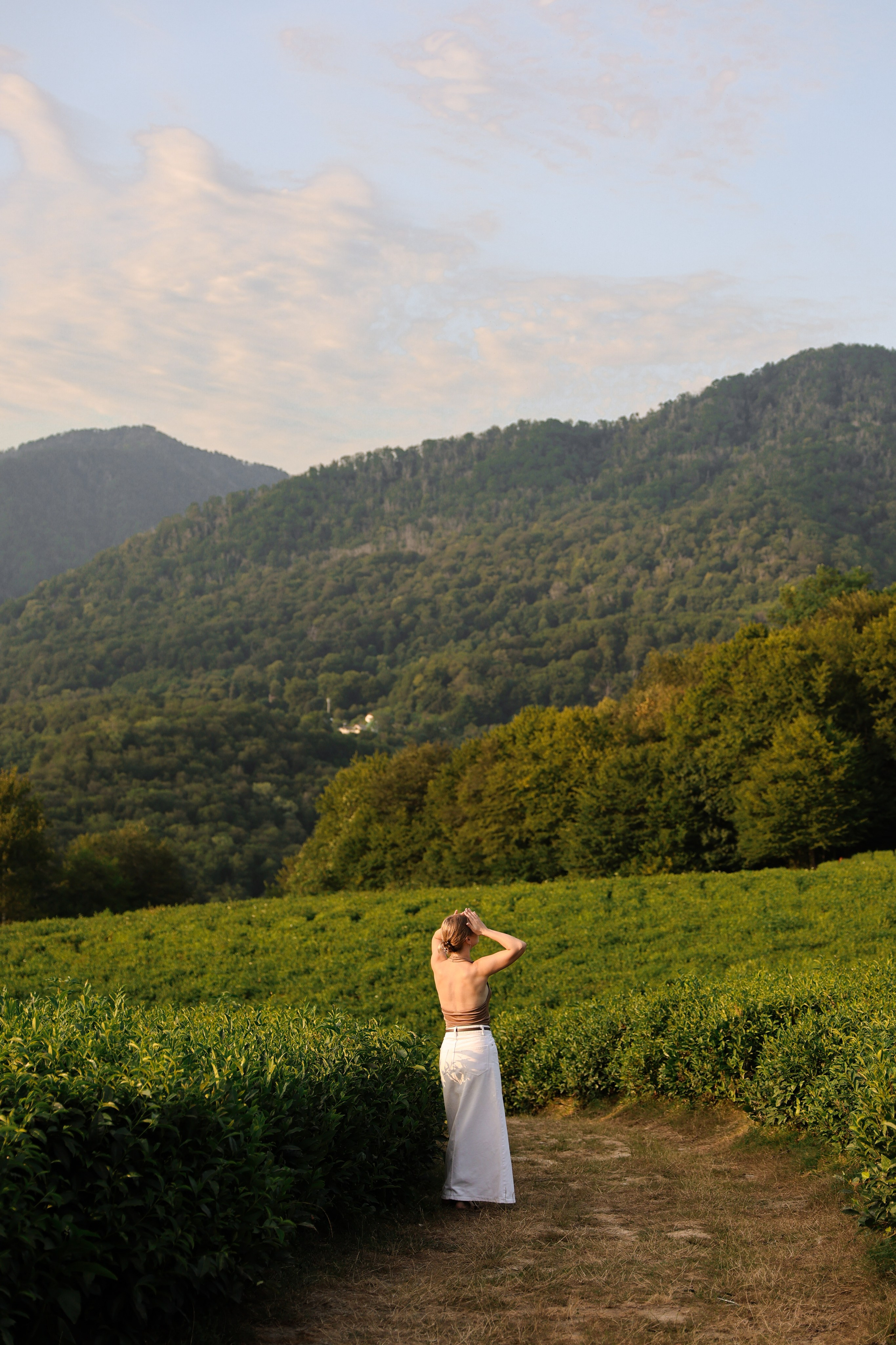 ЧАЙНЫЕ ПЛАНТАЦИИ. Фотограф Москва Оля Олбимак