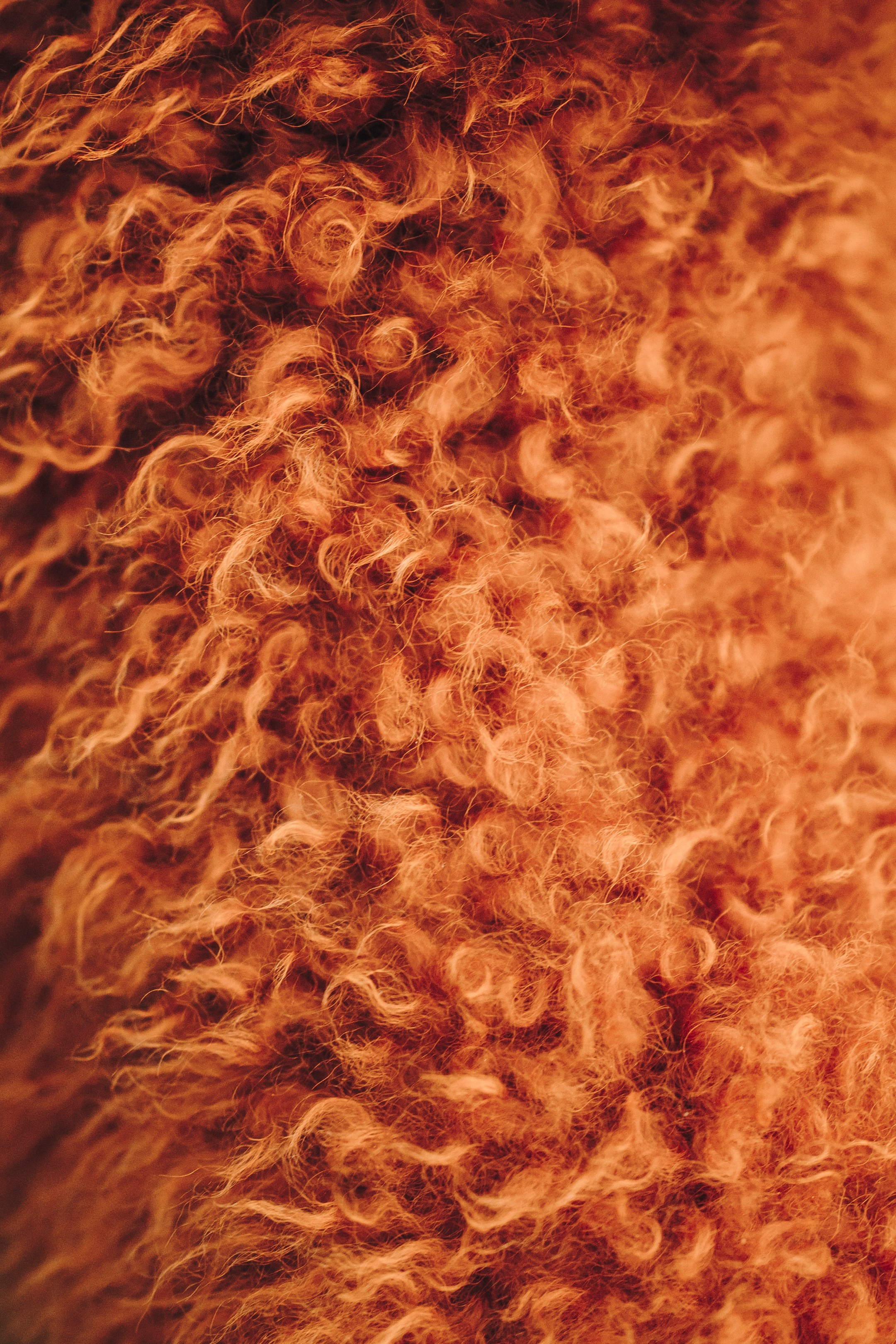 Марина, Тарас и Хагрид. Семейный фотограф анималист Ананьева Мария — Москва