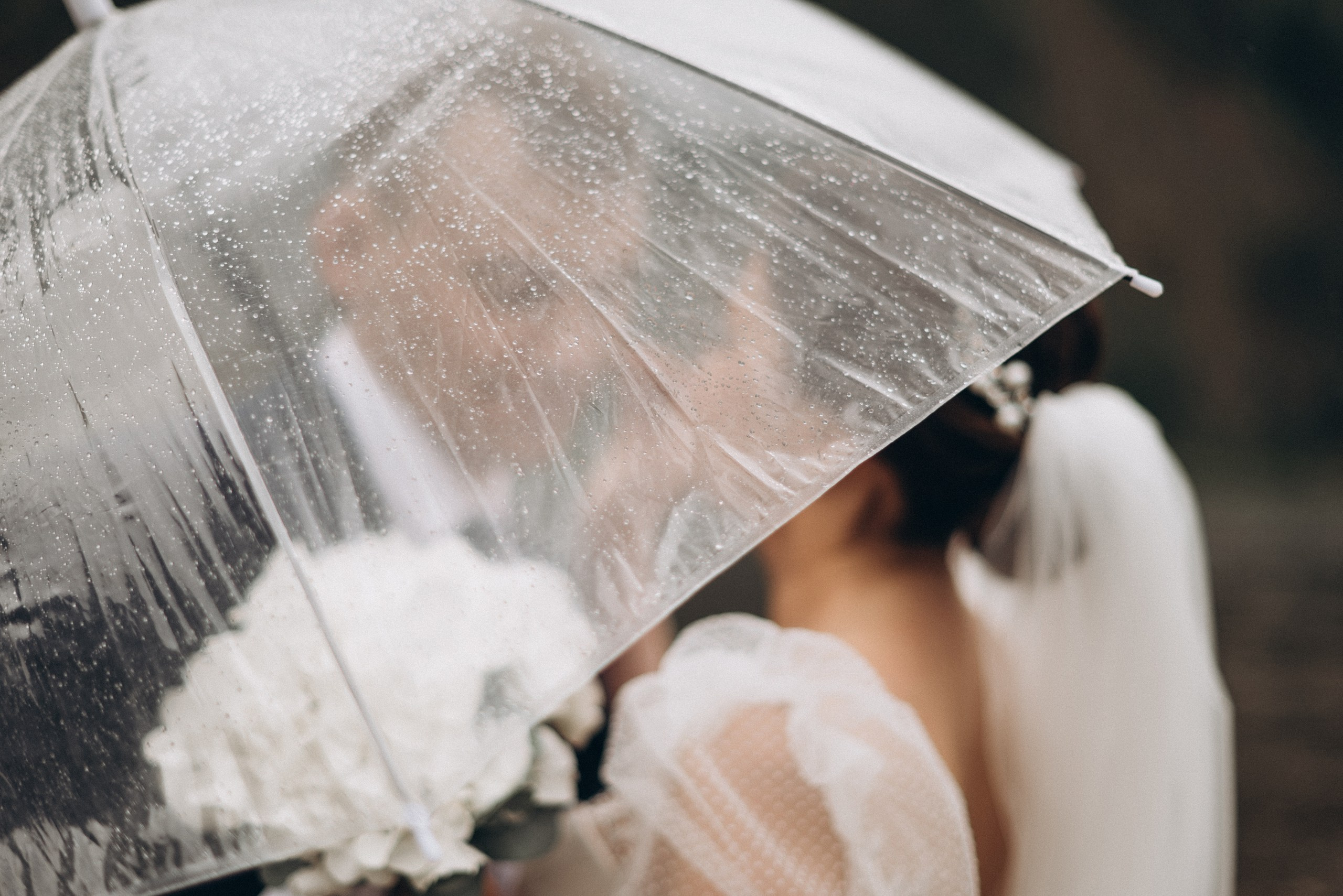 Владимир и Анастасия. Свадебный фотограф