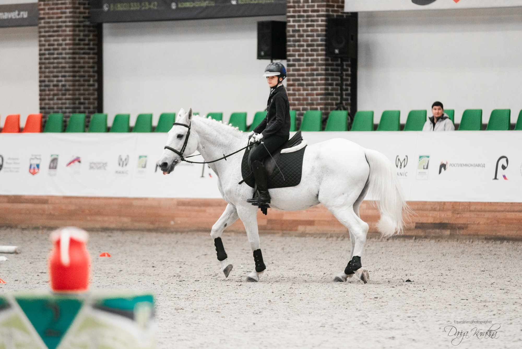 8-я международная выставка Конная Россия. Конный фотограф Куракина Дарья • Фотосессии с лошадьми