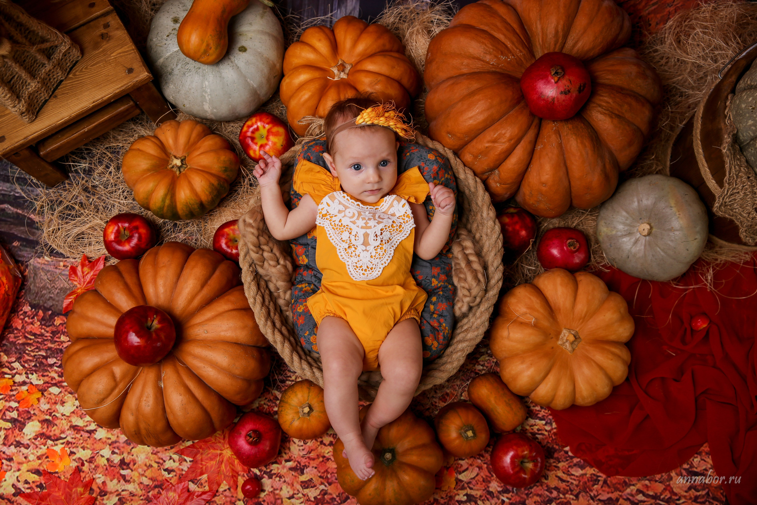 Фотопроект ТЫКВЫ. Фотограф новорожденных, детей до года и беременных в Симферополе