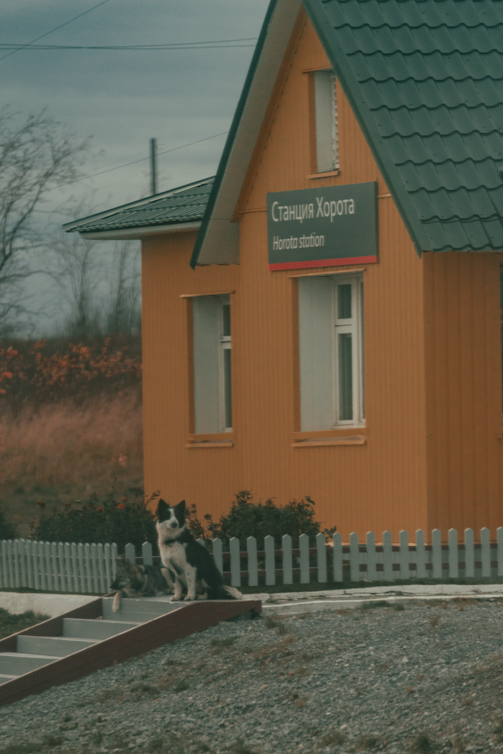 Уральские горы, Октябрь 2024