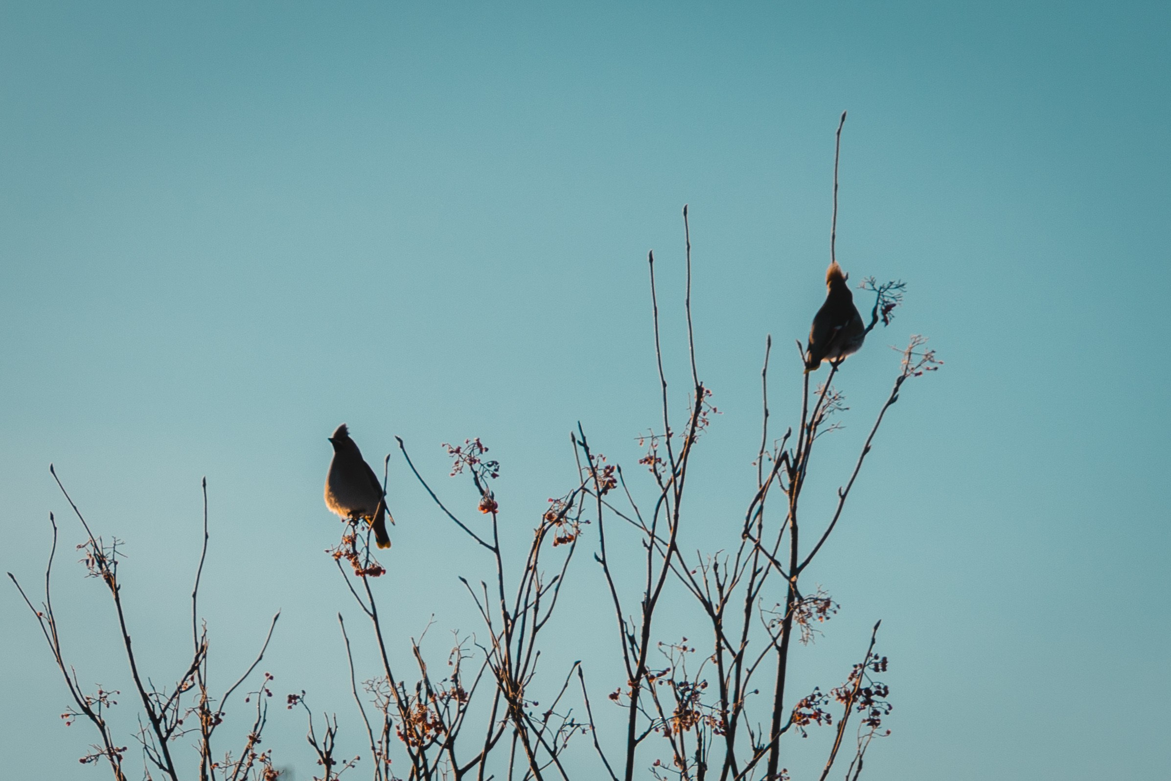 Губкинский и Когалым, Март 2024