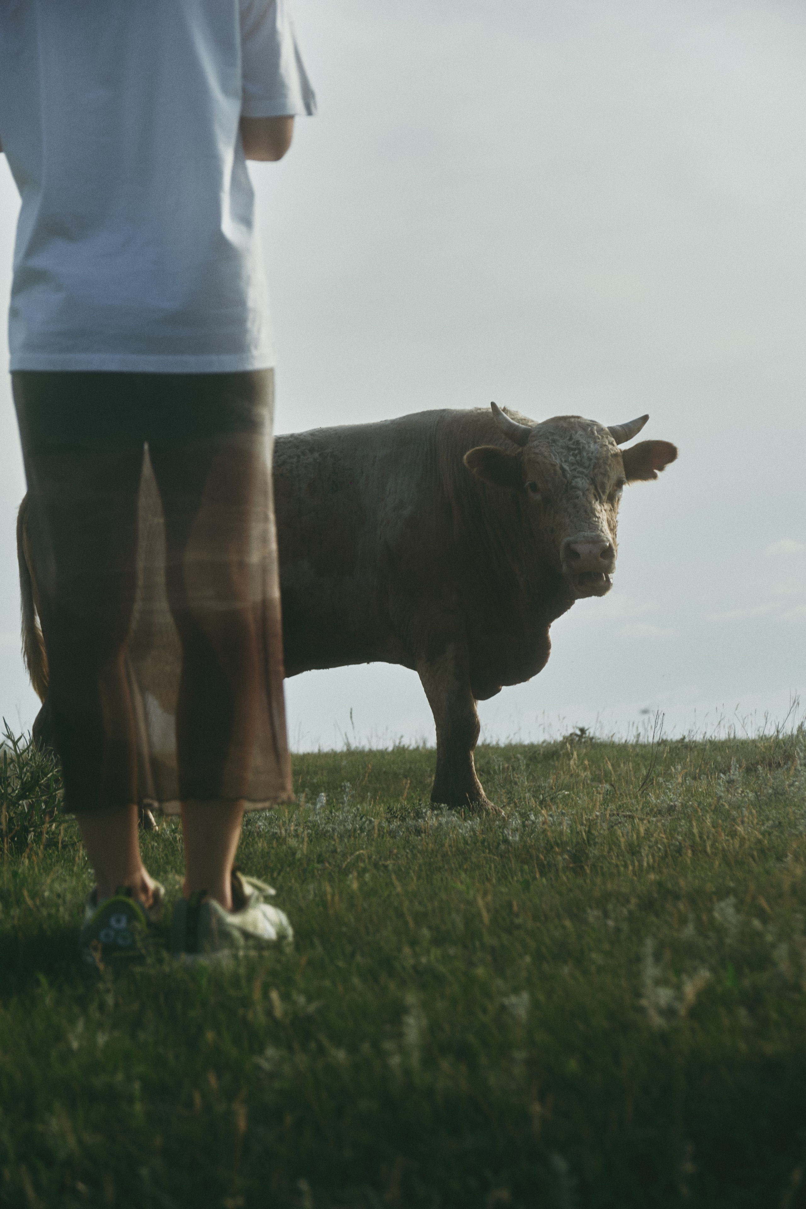 SLepnI. Сайт фотографа в Саратове