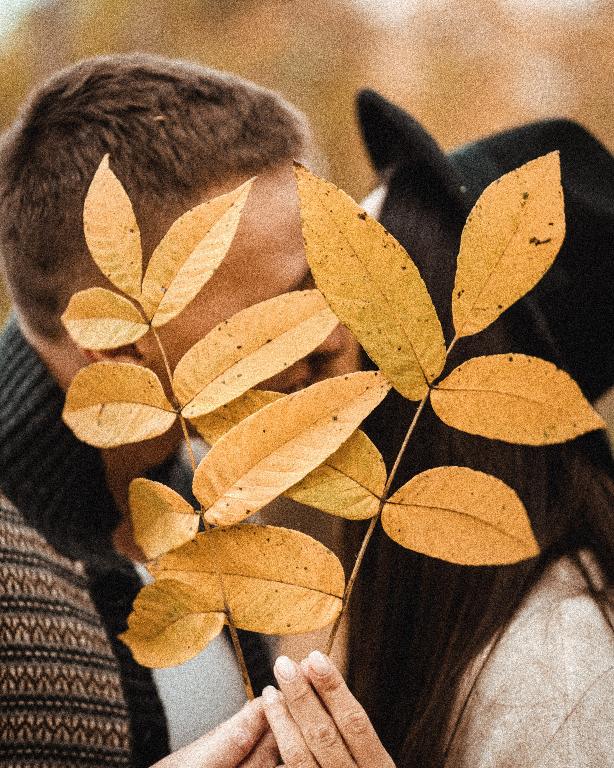 Андрей Вернич