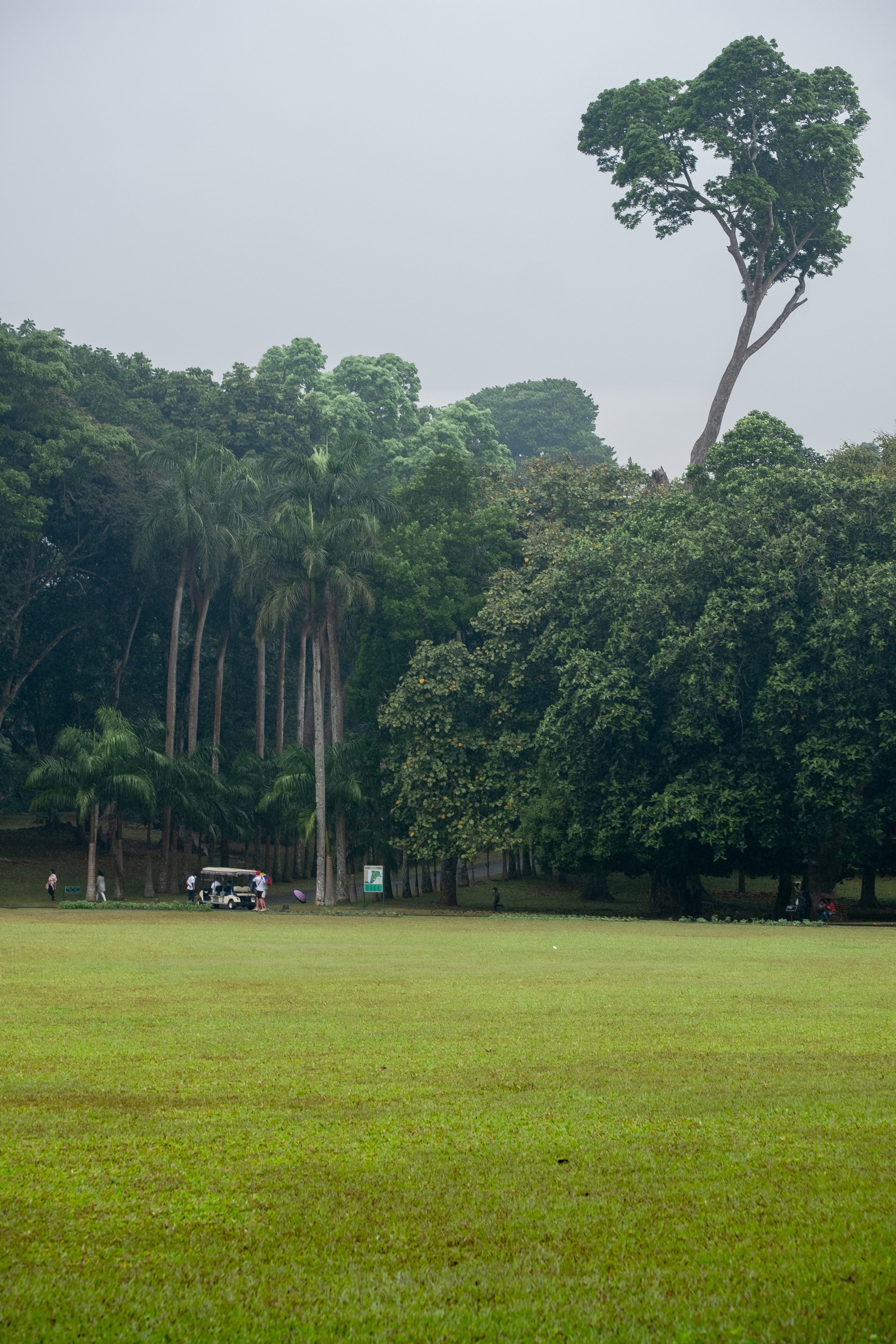 Шри-Ланка. ПОБУДЬ ЗДЕСЬ И ЦЕЛЕЕ БУДЕТ ЭТОТ МИР