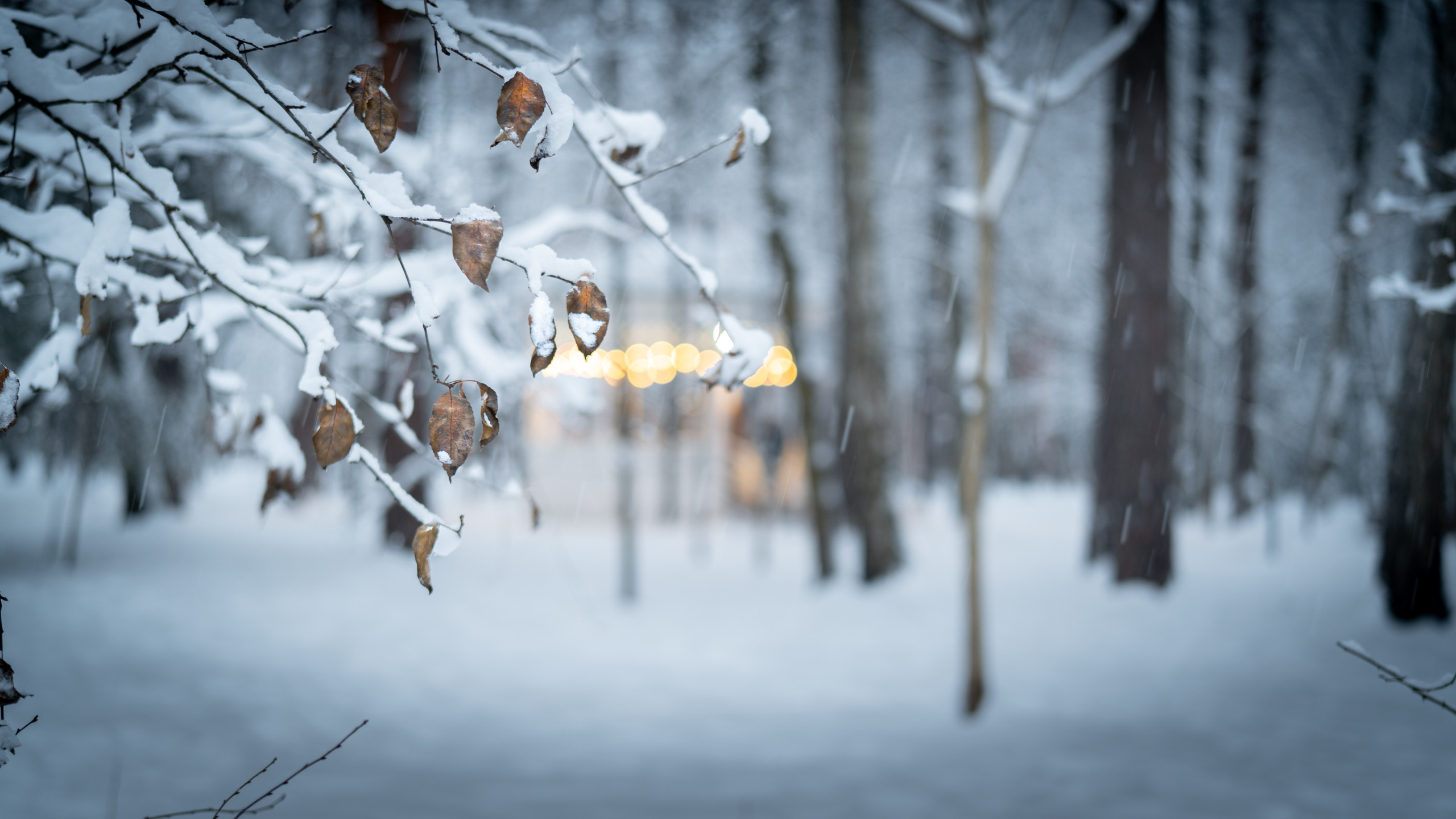 ПЕРЕДЕЛКИНО. ПОБУДЬ ЗДЕСЬ И ЦЕЛЕЕ БУДЕТ ЭТОТ МИР