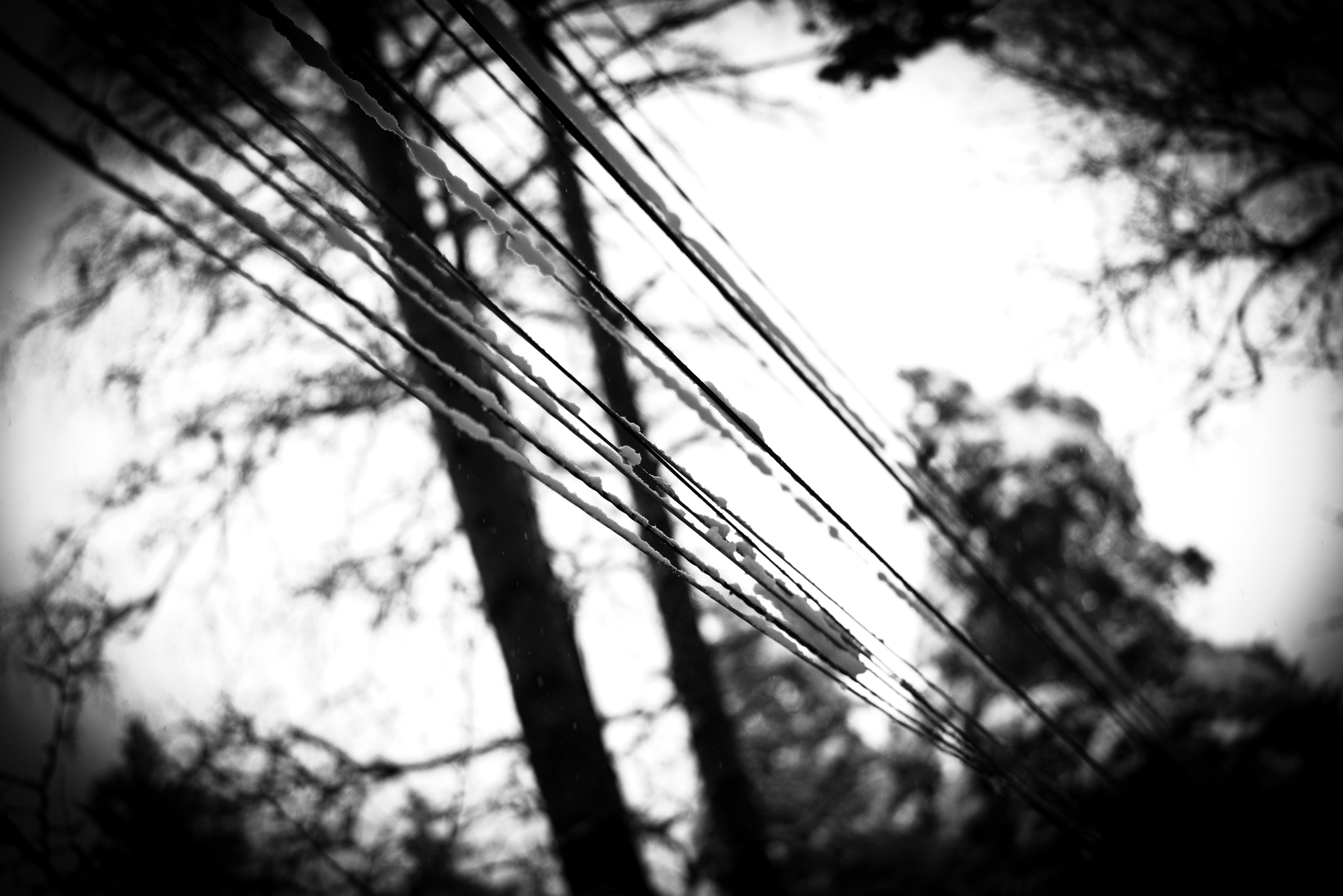 ПЕРЕДЕЛКИНО. ПОБУДЬ ЗДЕСЬ И ЦЕЛЕЕ БУДЕТ ЭТОТ МИР